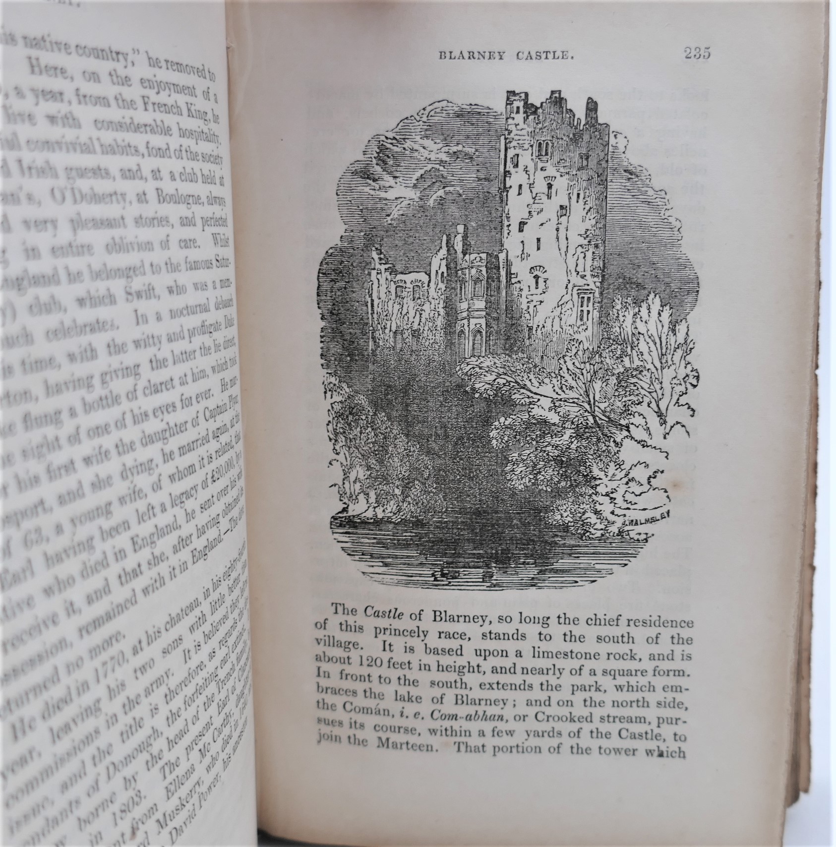 Historical and Descriptive Notices of the City of Cork (1849) - Image 2