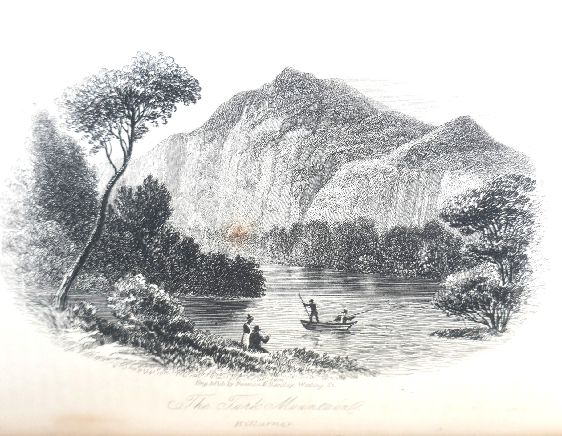 Historical and Descriptive Notices of the City of Cork (1849) - Image 7