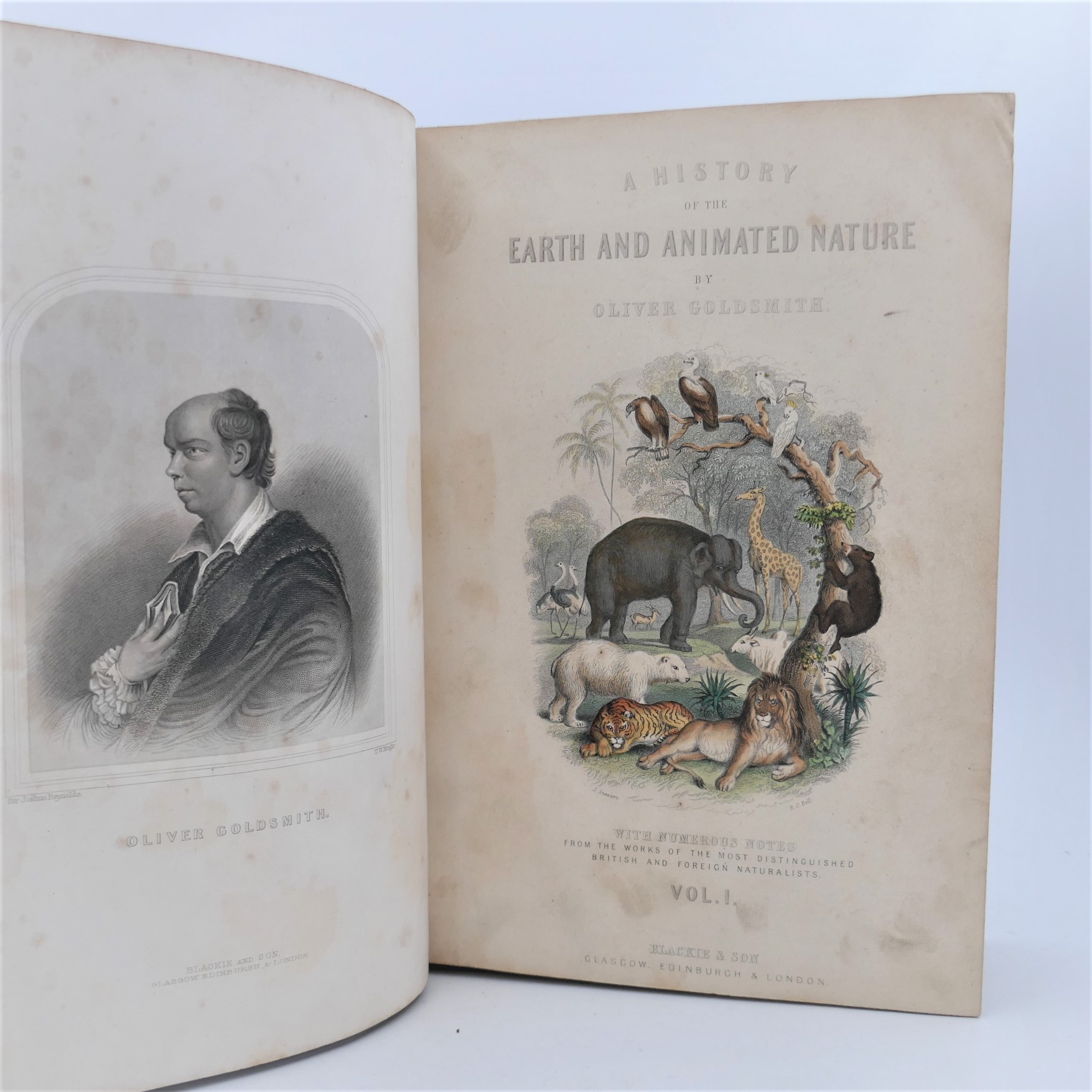 Goldsmith's History of Animated Nature. With Coloured Plates (1868) - Image 2