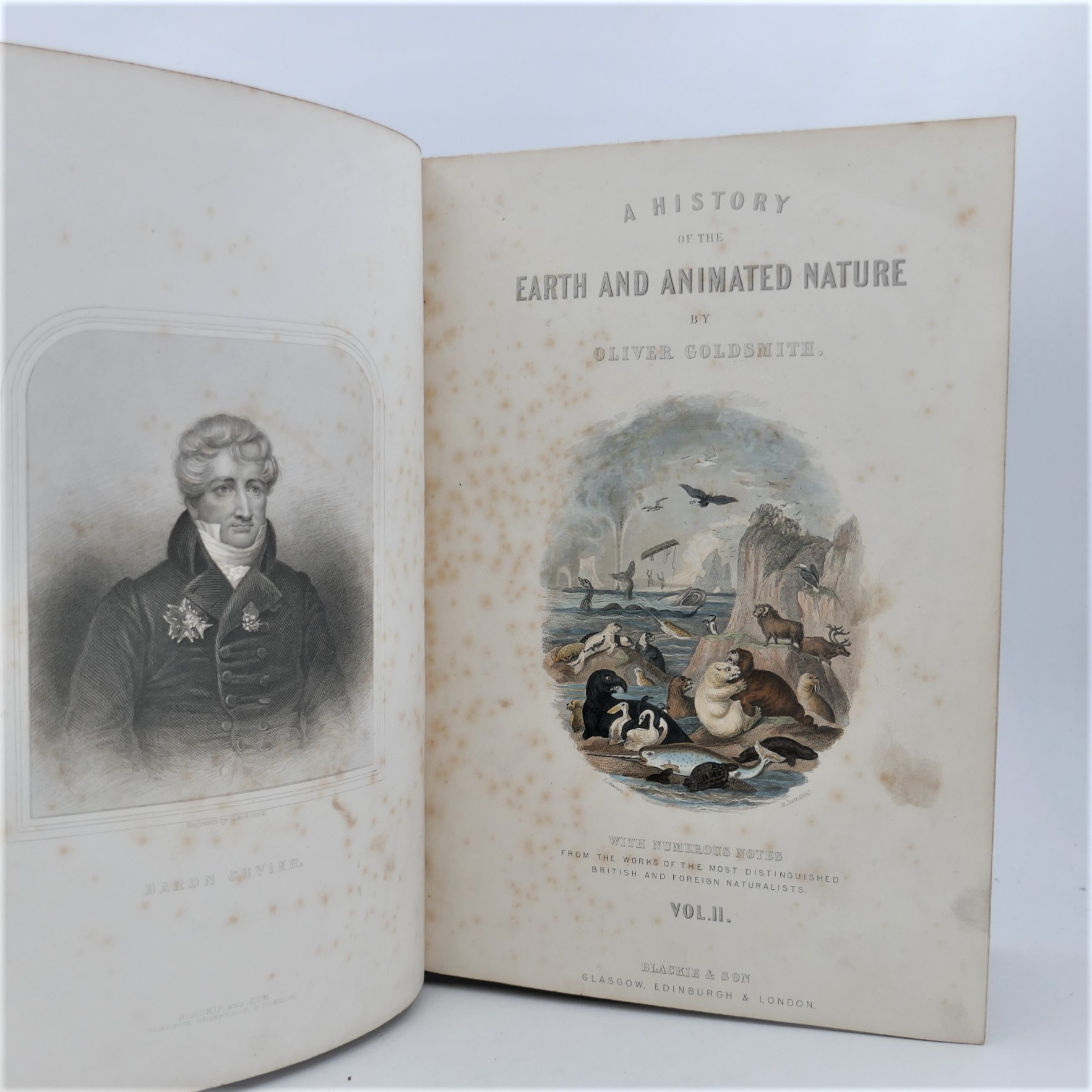 Goldsmith's History of Animated Nature. With Coloured Plates (1868) - Image 4