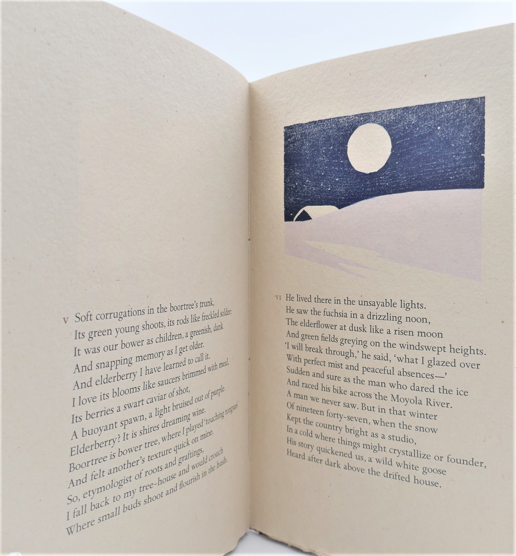 Hedge School. Sonnets from Glanmore. Limited Edition (1979) - Image 4