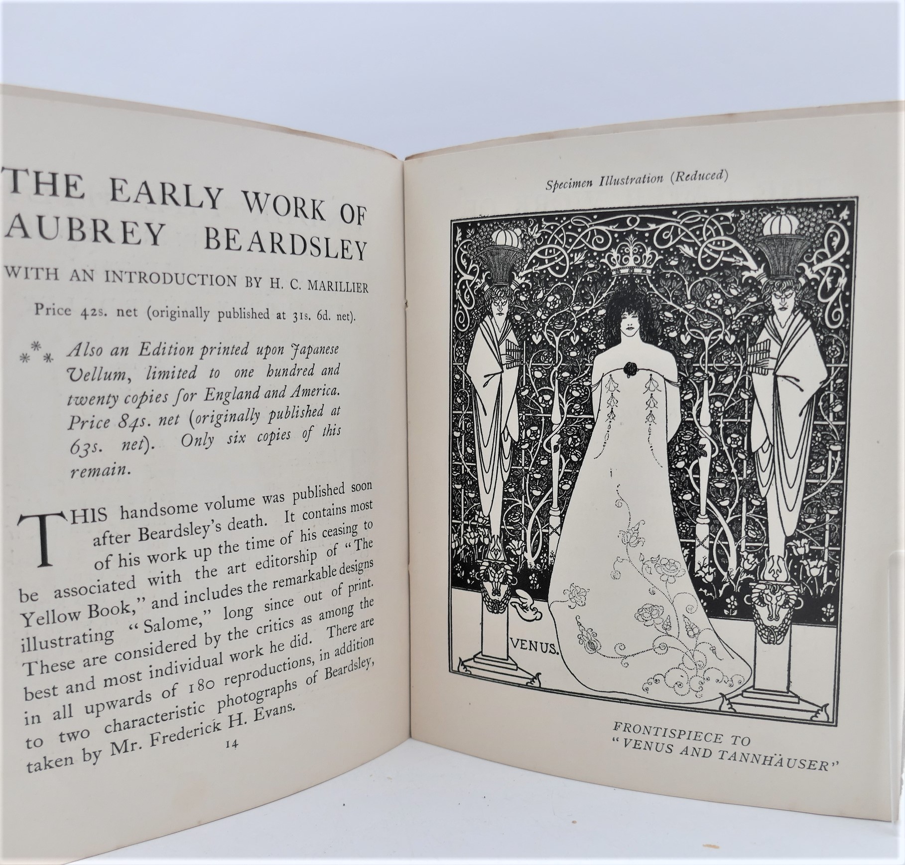 Aubrey Beardsley and The Yellow Book (1903) - Image 2