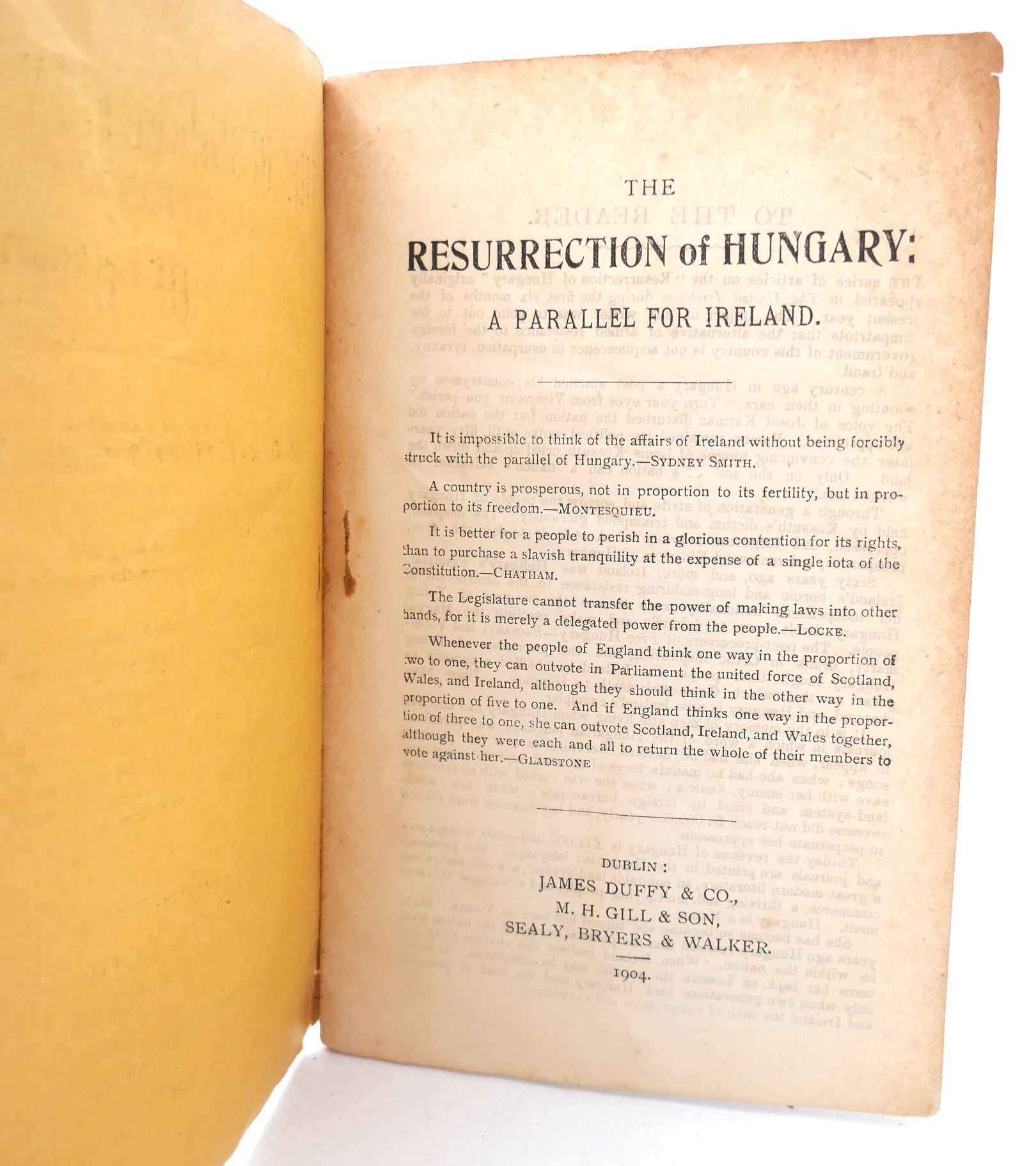 The Resurrection of Hungary. First Edition (1904) - Image 3