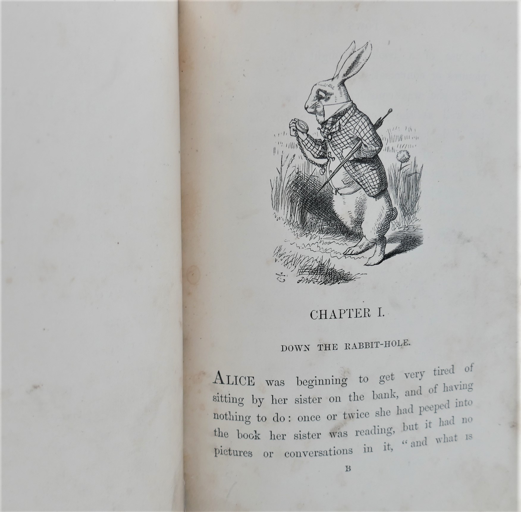 Alice's Adventures in Wonderland (1872) - Image 3