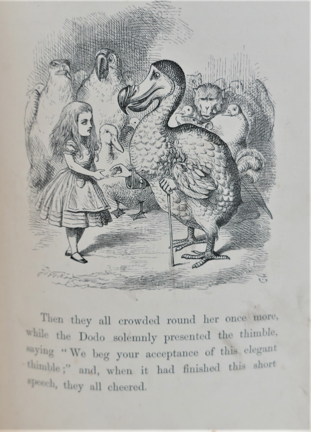 Alice's Adventures in Wonderland (1872) - Image 4