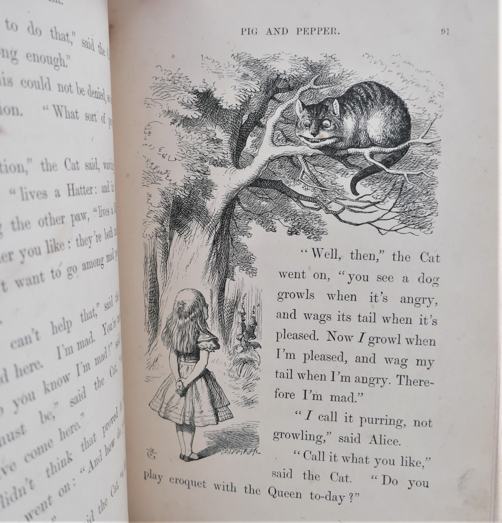 Alice's in Wonderland & Through The Looking-Glass (1877-78) - Image 4