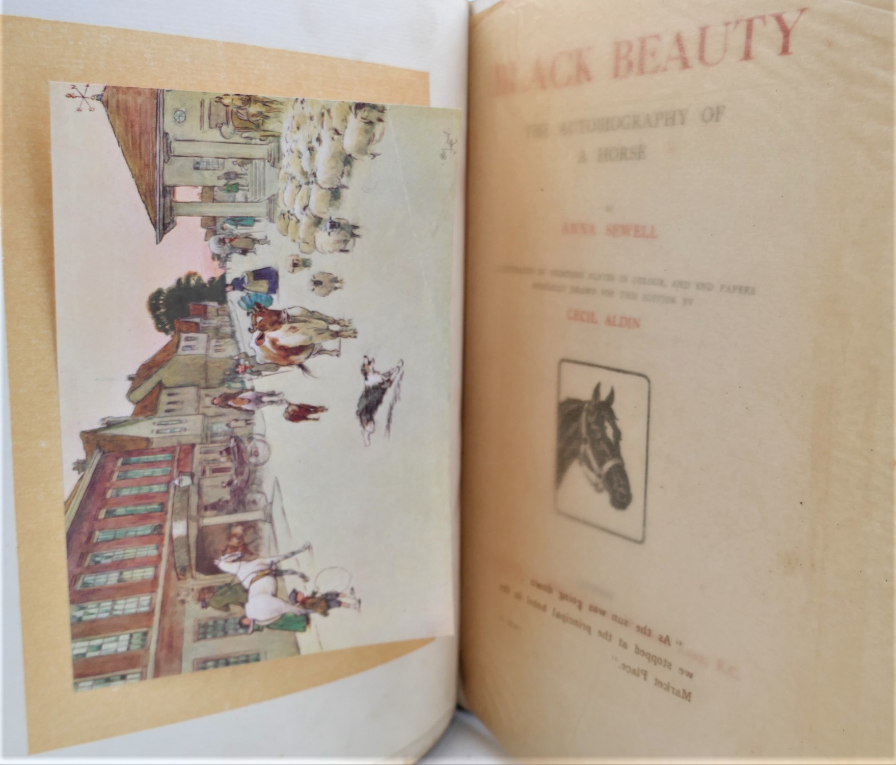 Black Beauty. The Autobiography of a Horse (1915) - Image 2