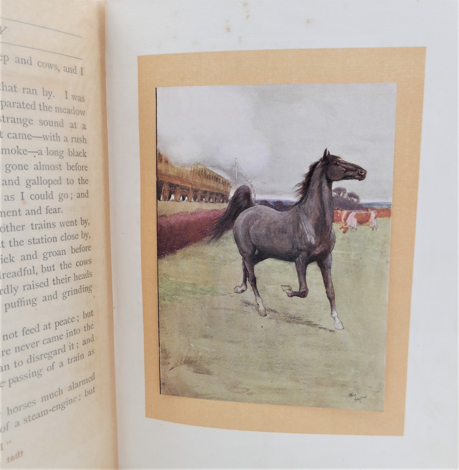 Black Beauty. The Autobiography of a Horse (1915) - Image 4
