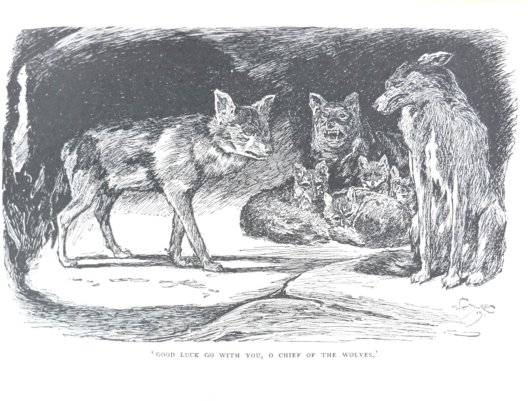 The Jungle Book and The Second Jungle Book (1908) - Image 3