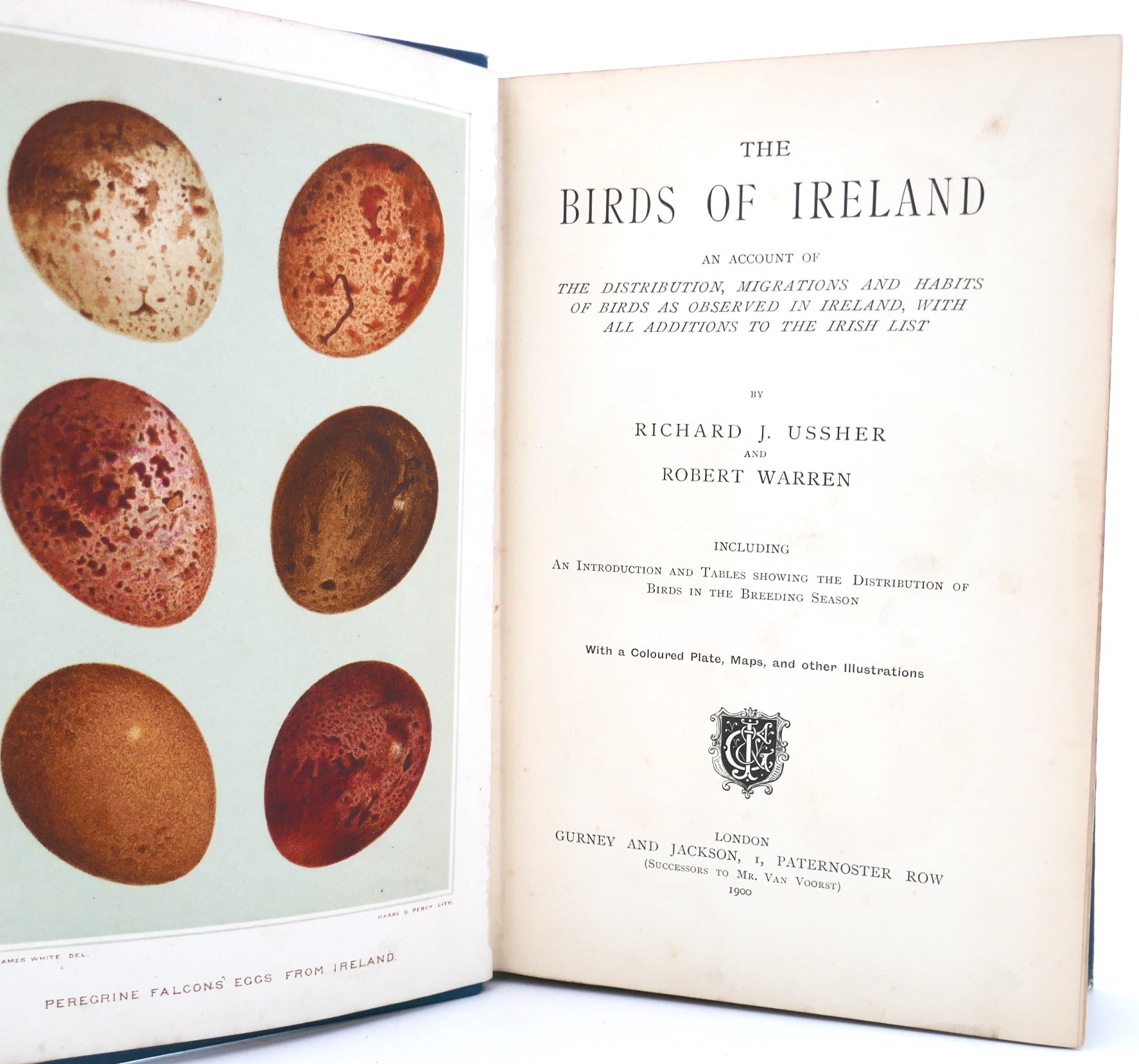 The Birds of Ireland (1900) - Image 2