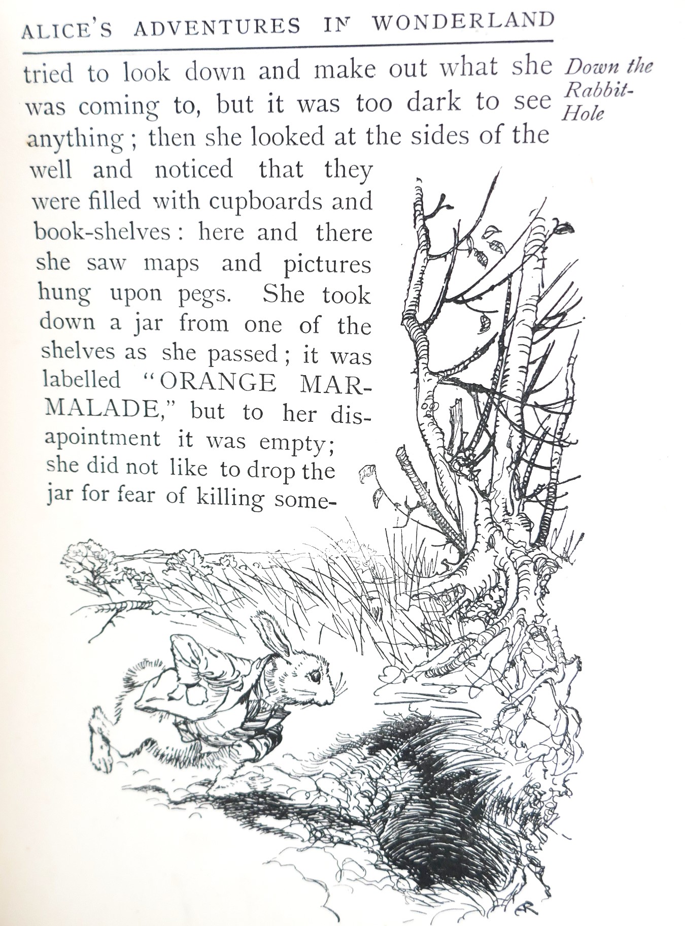Alice's Adventures in Wonderland. Illustrated by Arthur Rackham (1907) - Image 2
