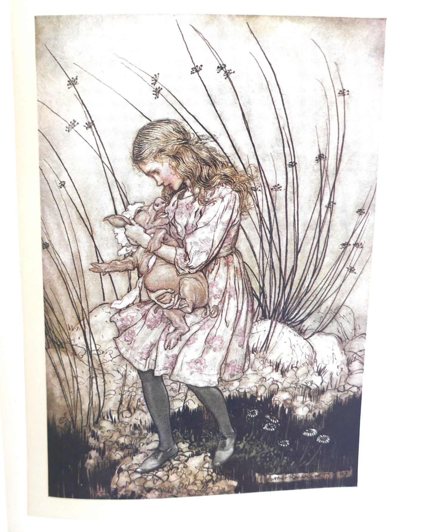 Alice's Adventures in Wonderland. Illustrated by Arthur Rackham (1907) - Image 3