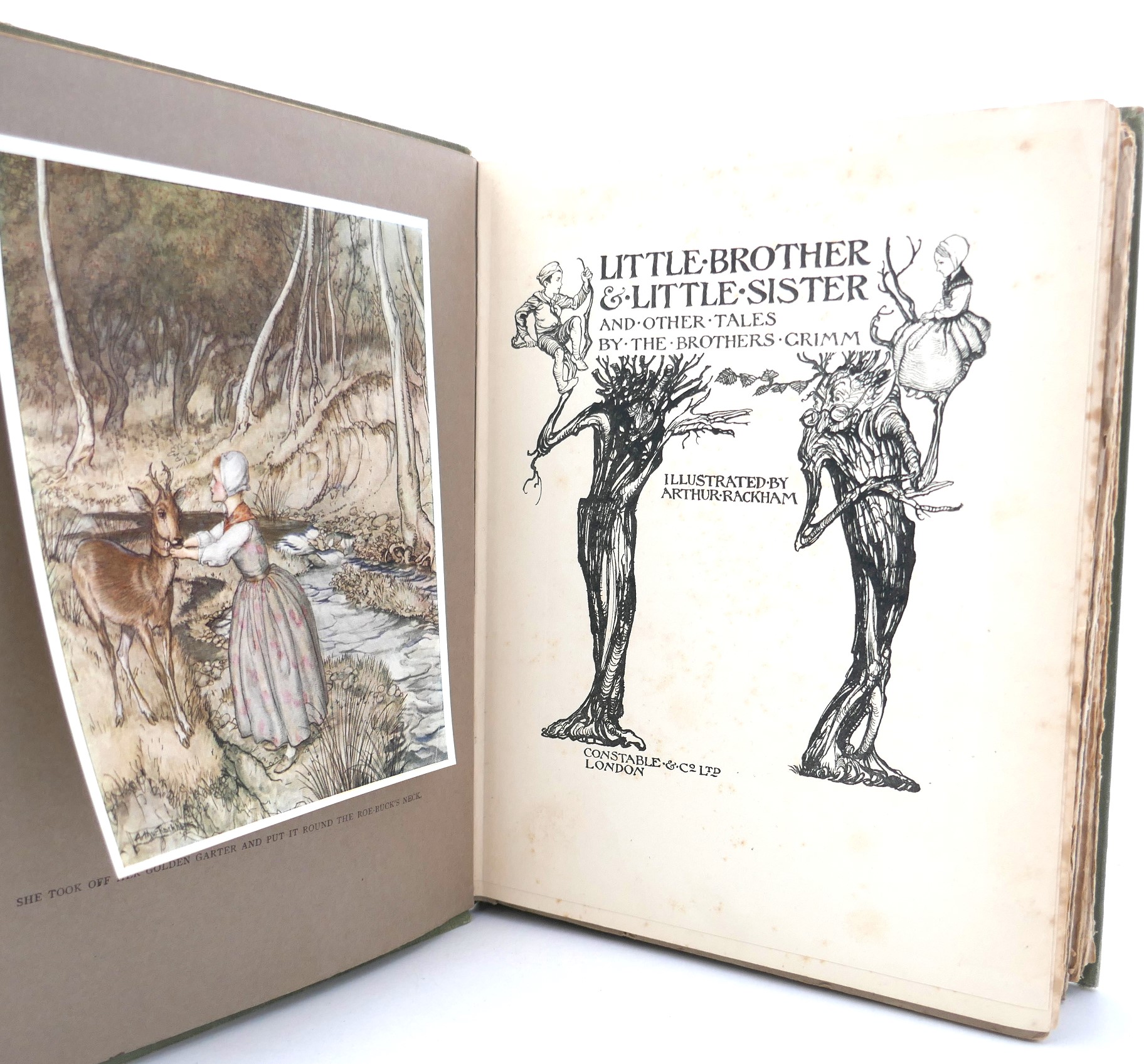 Grimm's Little Brother & Little Sister. Illustrated by Arthur Rackham (1917) - Image 2