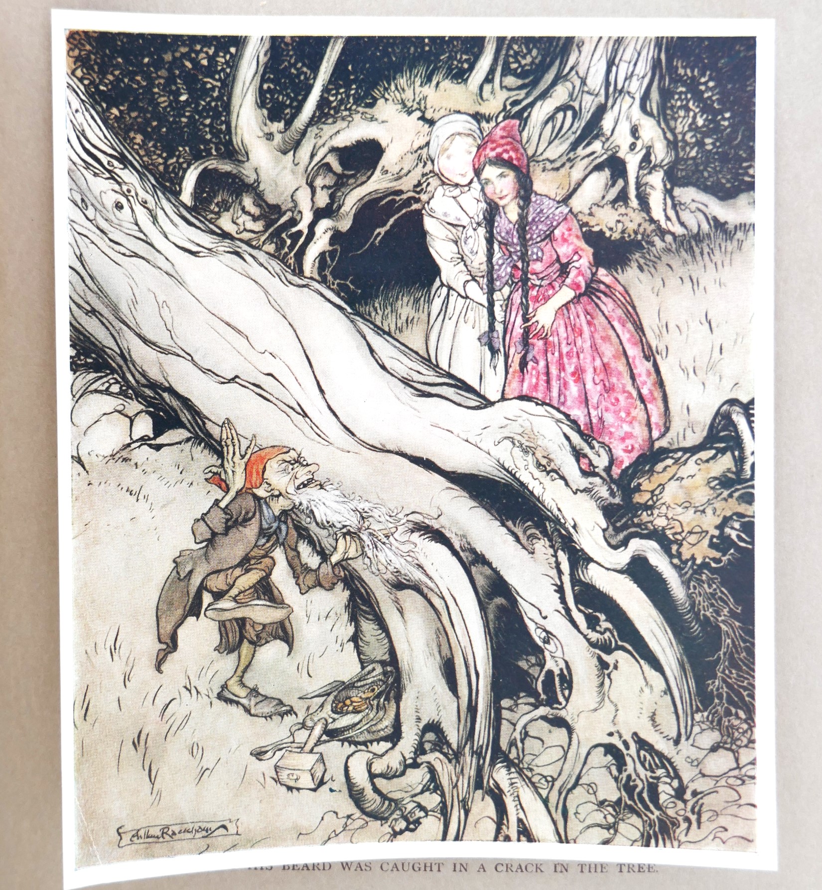 Grimm's Little Brother & Little Sister. Illustrated by Arthur Rackham (1917) - Image 4
