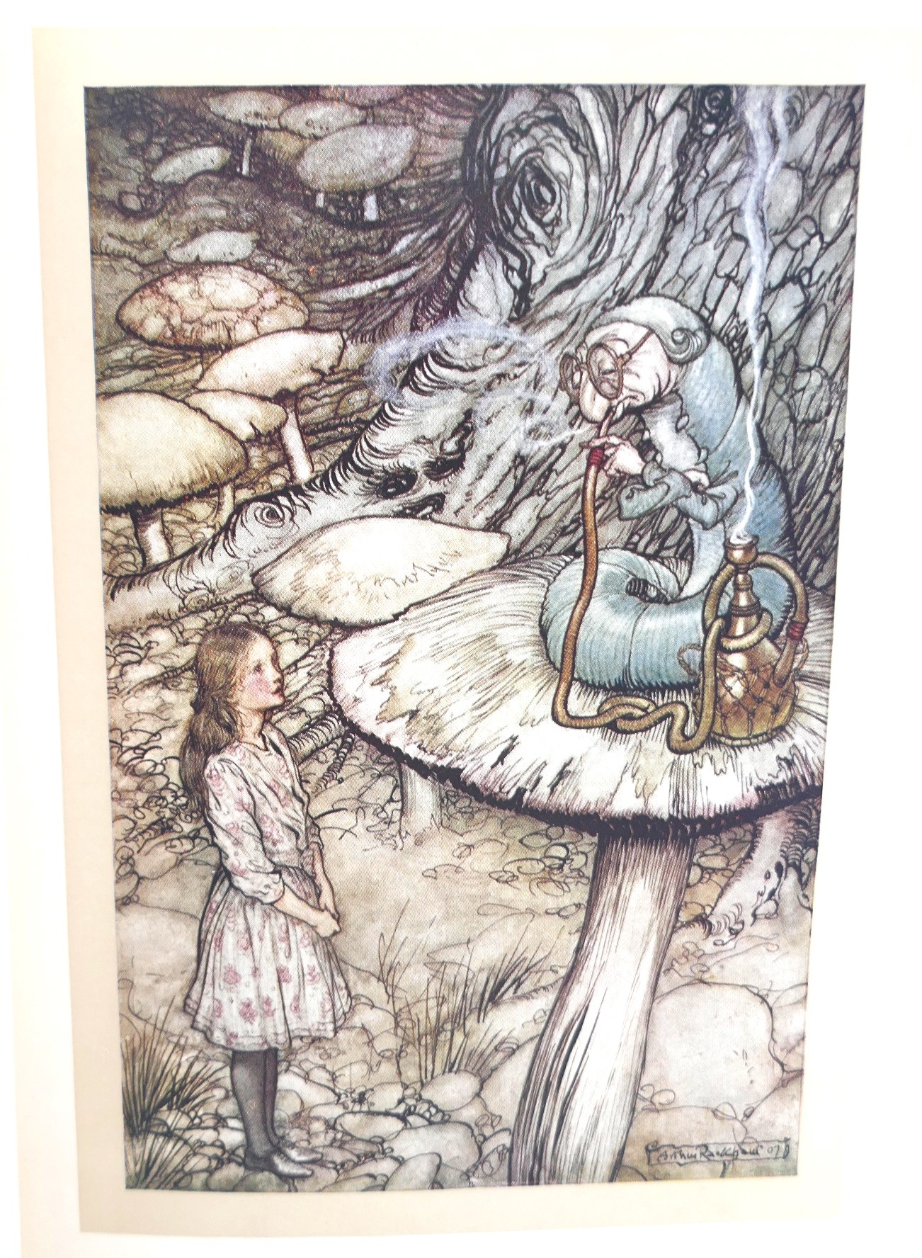 Alice's Adventures in Wonderland. Illustrated by Arthur Rackham (1907) - Image 4