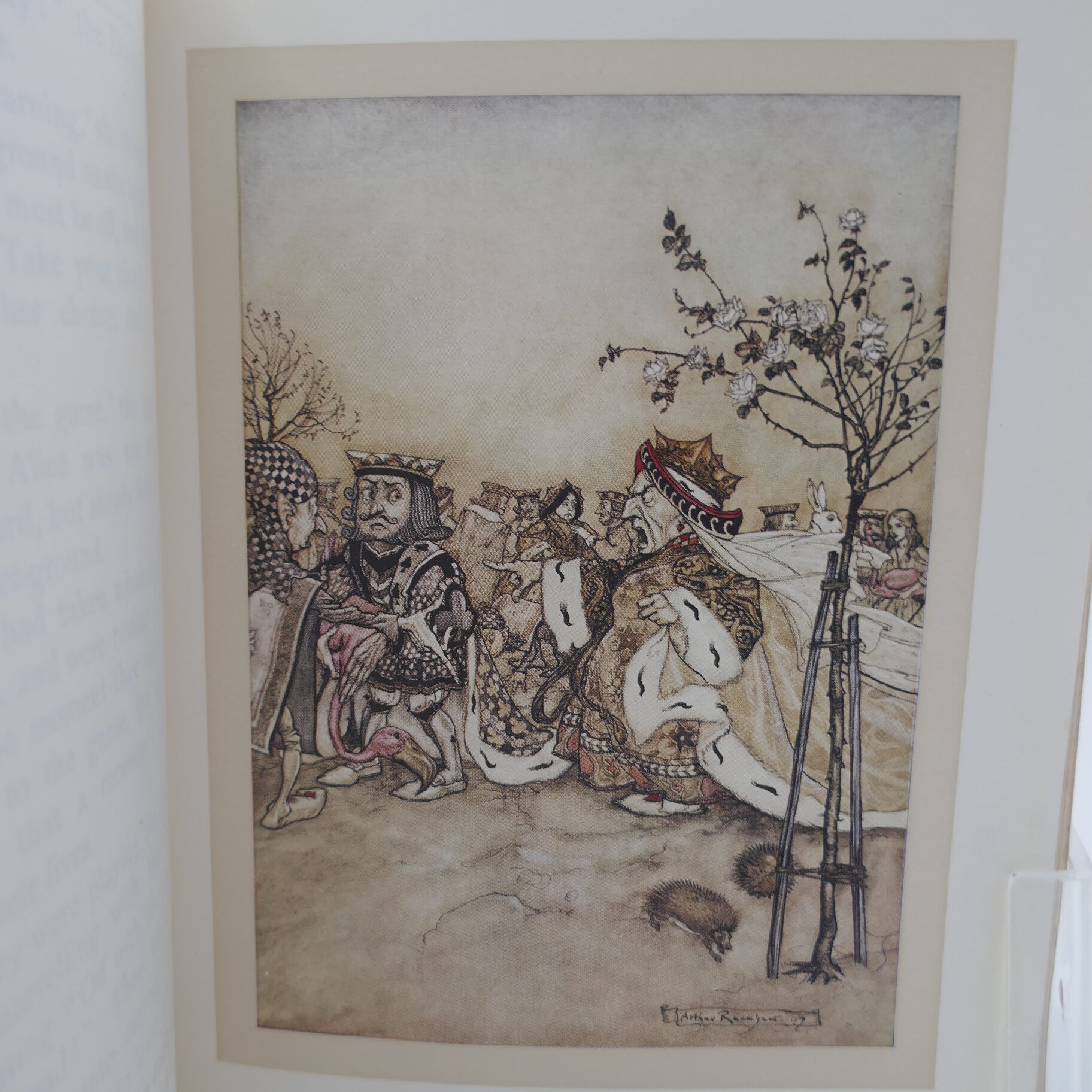 Alice's Adventures in Wonderland. Illustrated by Arthur Rackham (1907) - Image 5