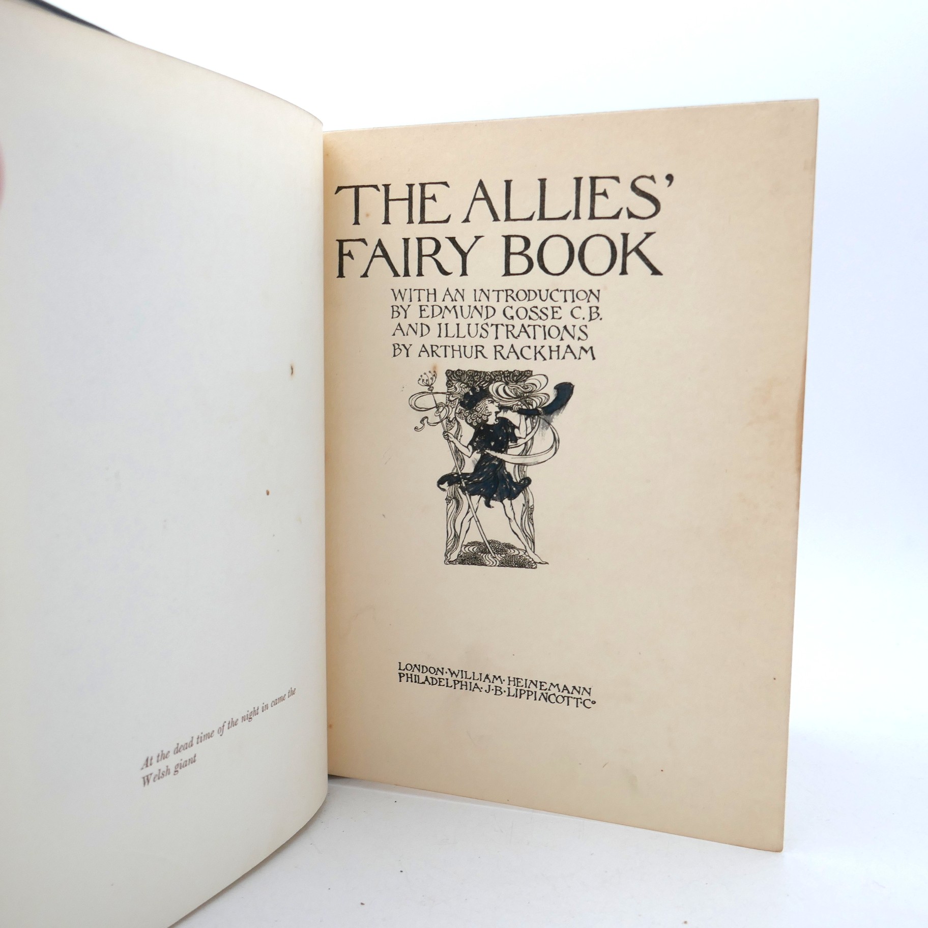 The Allies' Fairy Book. Illustrated by Arthur Rackham (1916) - Image 4