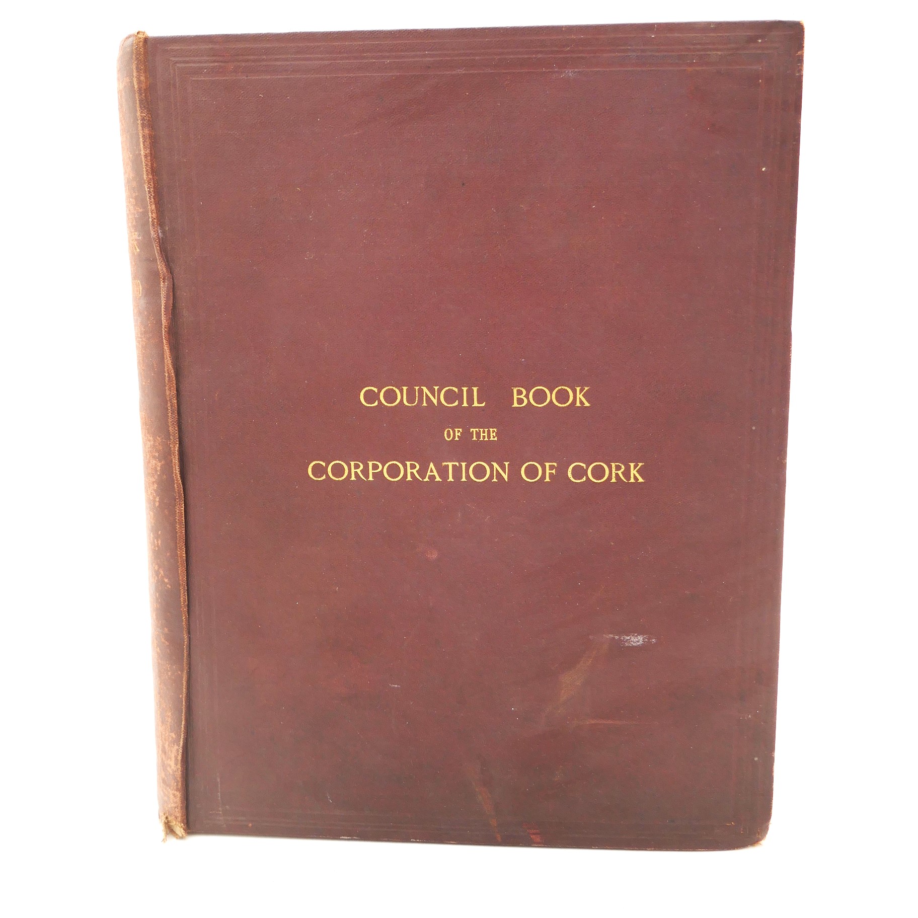 The Council Book of the Corporation of the City of Cork (1876)