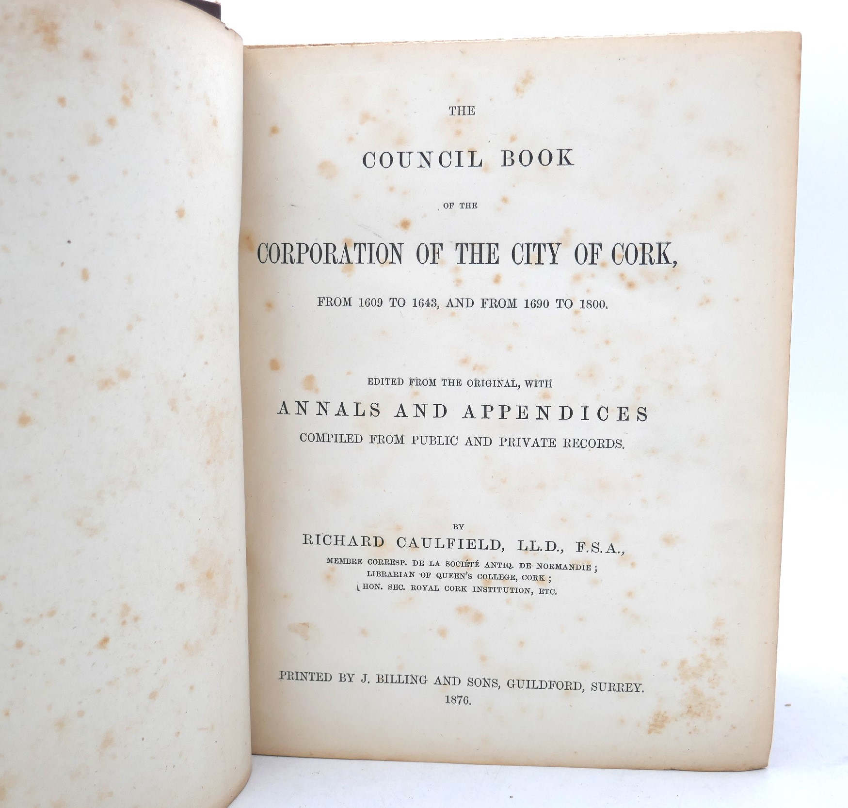 The Council Book of the Corporation of the City of Cork (1876) - Image 2