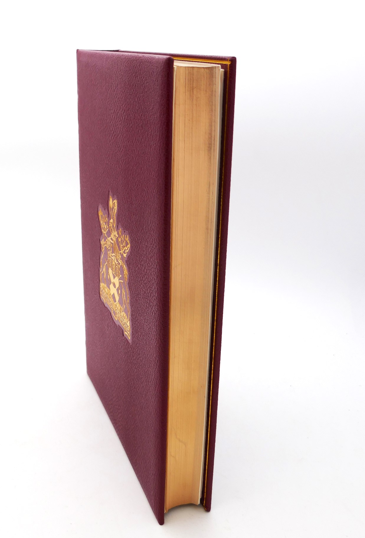 A Portrait of Irish Medicine. Specially Bound Limited Edition (1984) - Image 6