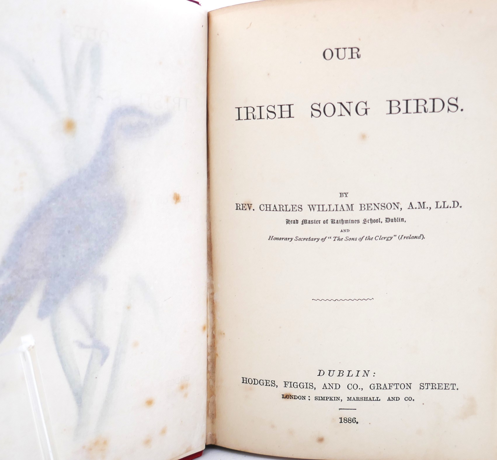 Our Irish Song Birds (1886) - Image 2