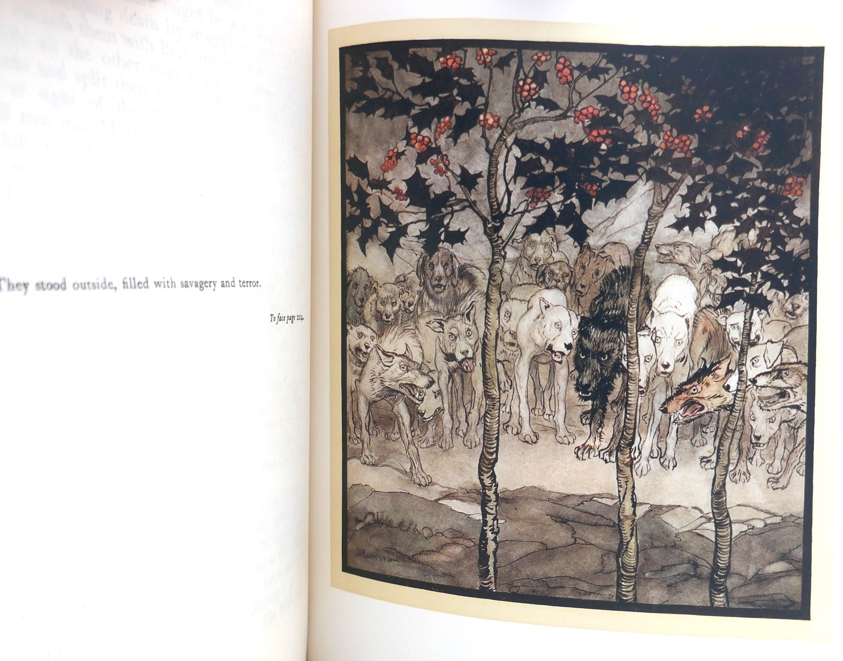 Irish Fairy Tales. Illustrated by Arthur Rackham (1920) - Image 6