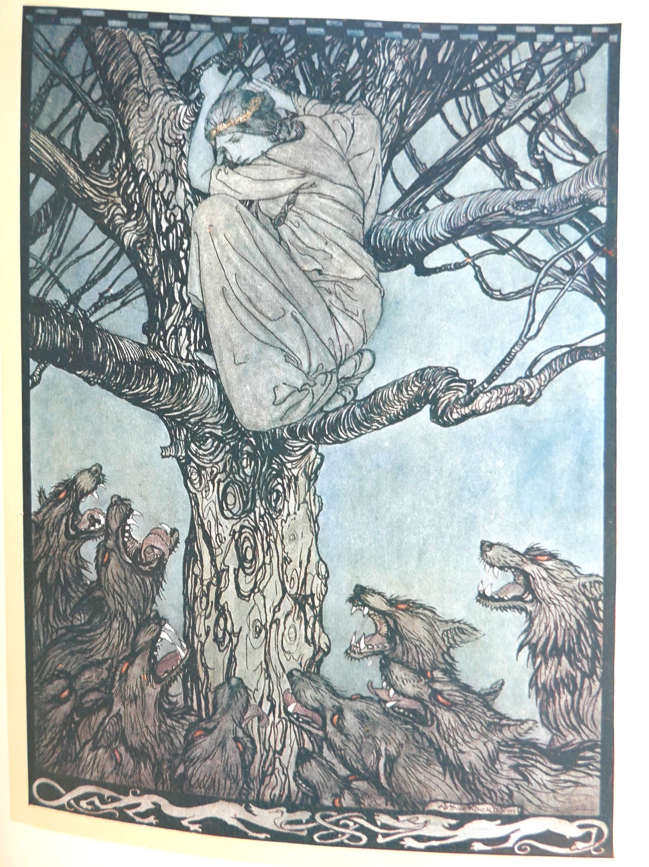 Irish Fairy Tales. Illustrated by Arthur Rackham (1920) - Image 9