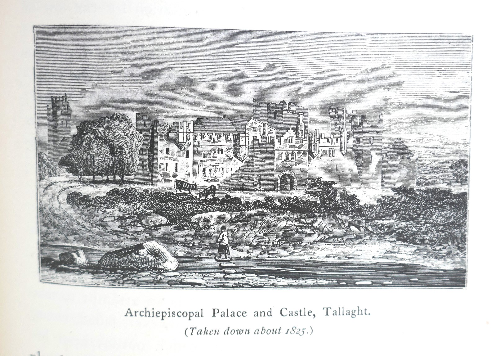 The Neighbourhood of Dublin. First Edition (1912) - Image 6