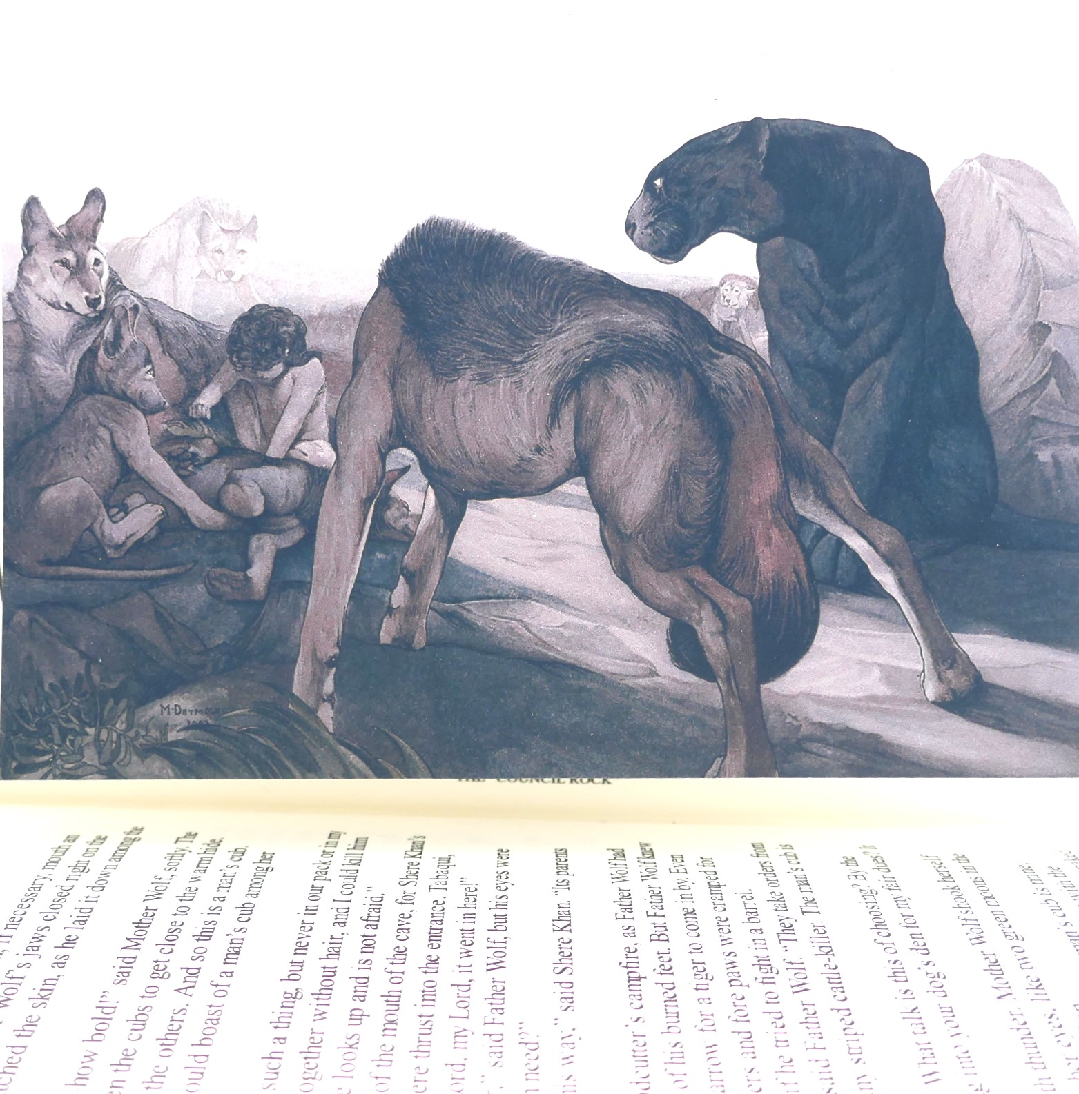 The Jungle Book. Little Oak Fine Bindings ( 2025) - Image 3