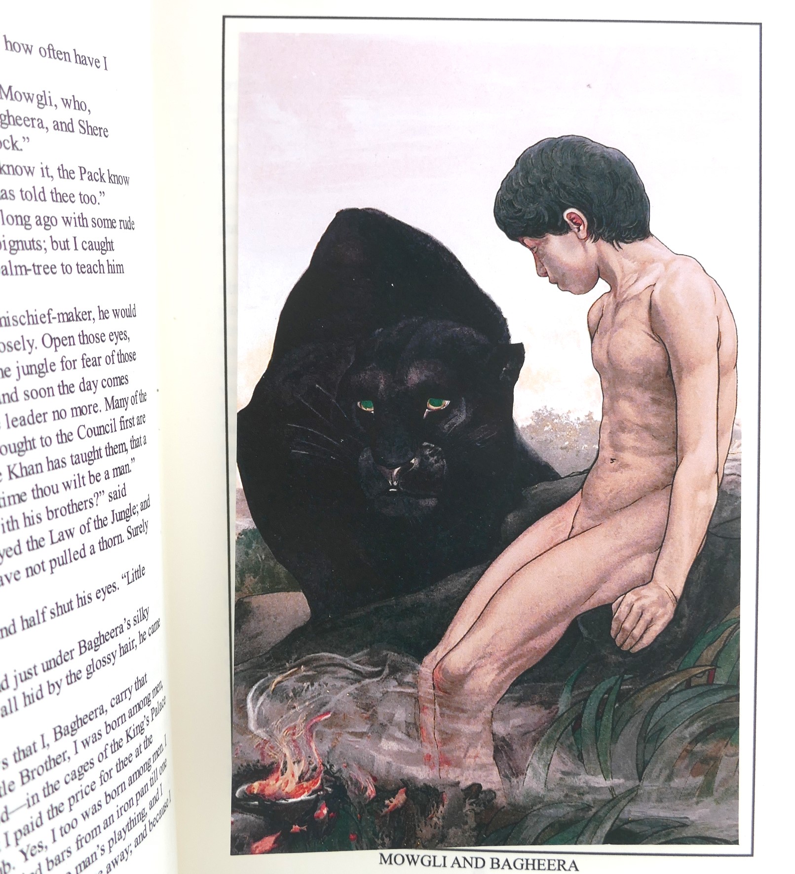 The Jungle Book. Little Oak Fine Bindings ( 2025) - Image 4