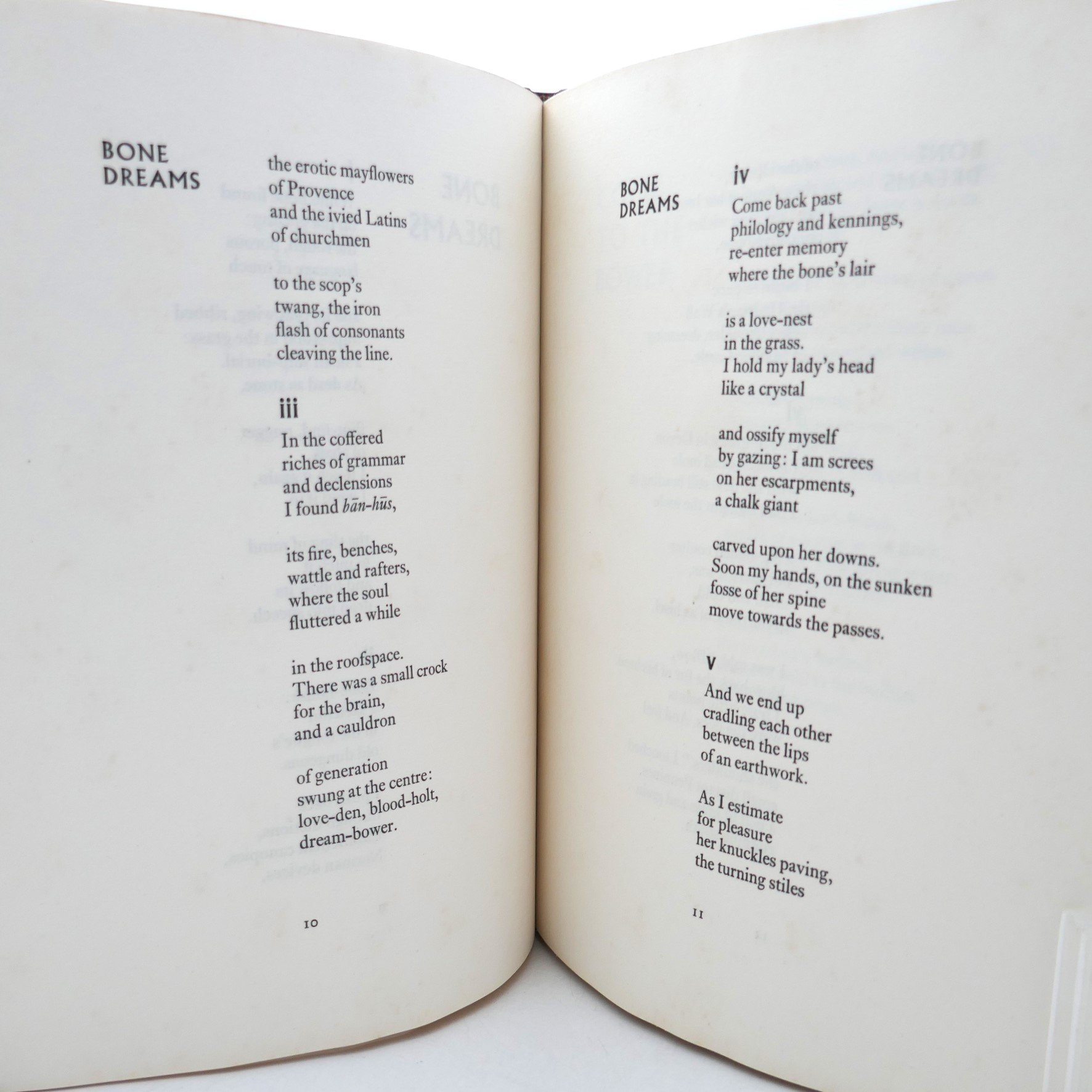 Bog Poems. Illustrated by Barrie Cooke (1975) - Image 7