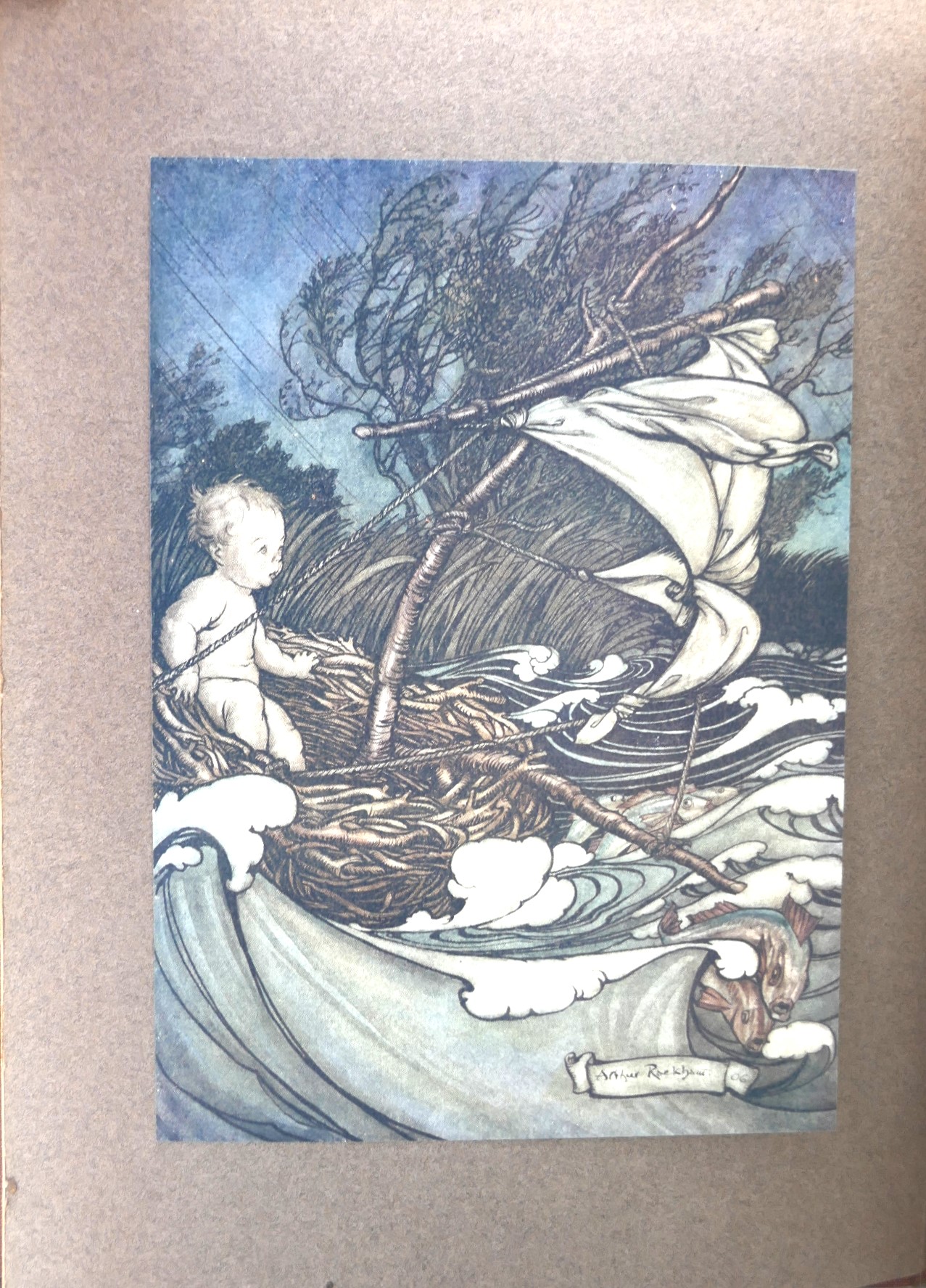 Peter Pan in Kensington Gardens. Illustrated by Arthur Rackham (1906) - Image 2