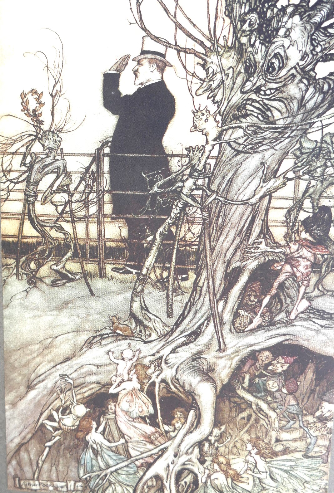 Peter Pan in Kensington Gardens. Illustrated by Arthur Rackham (1906) - Image 3