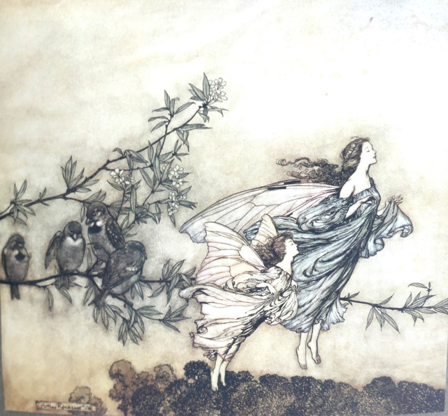 Peter Pan in Kensington Gardens. Illustrated by Arthur Rackham (1906) - Image 4