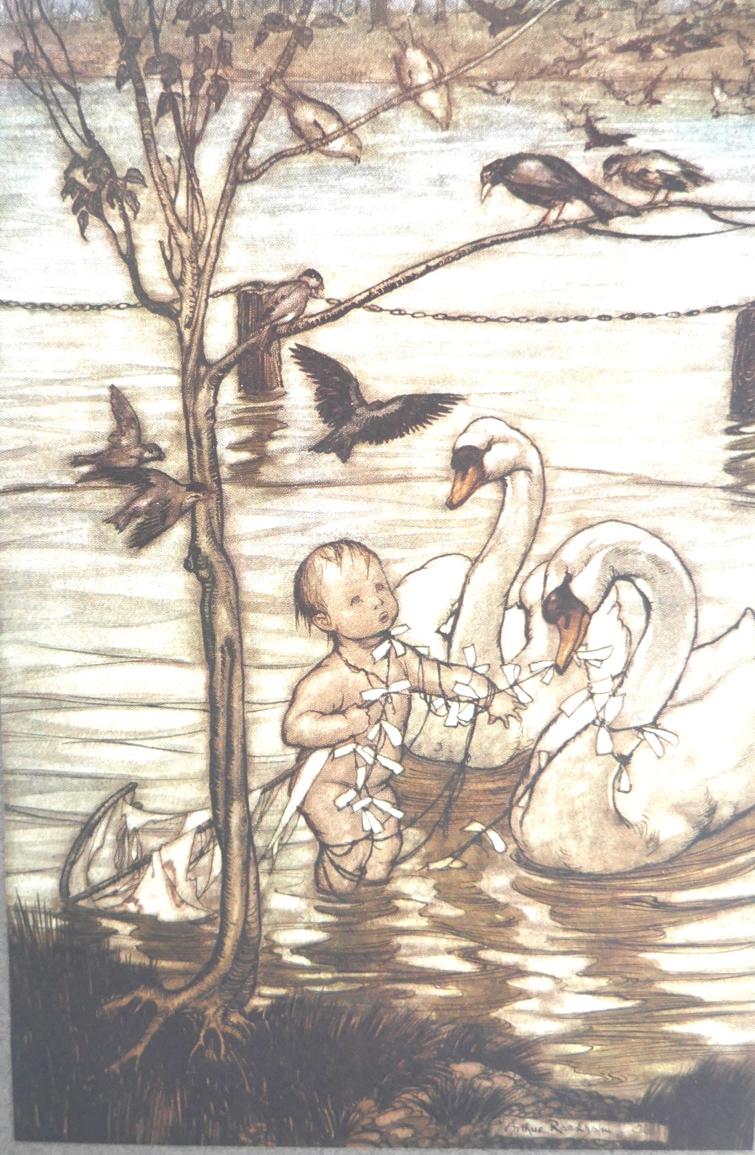 Peter Pan in Kensington Gardens. Illustrated by Arthur Rackham (1906) - Image 5