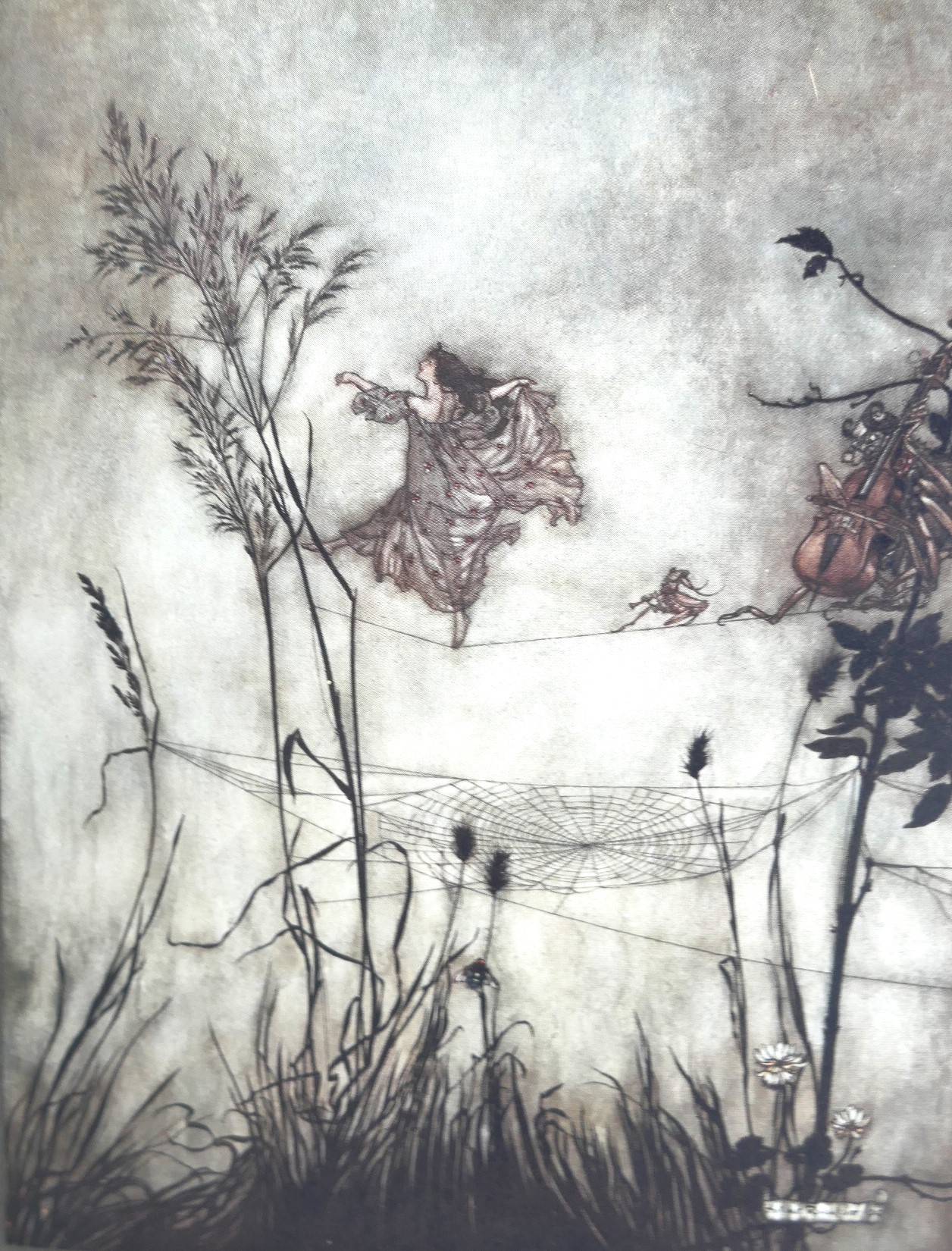 Peter Pan in Kensington Gardens. Illustrated by Arthur Rackham (1906) - Image 6