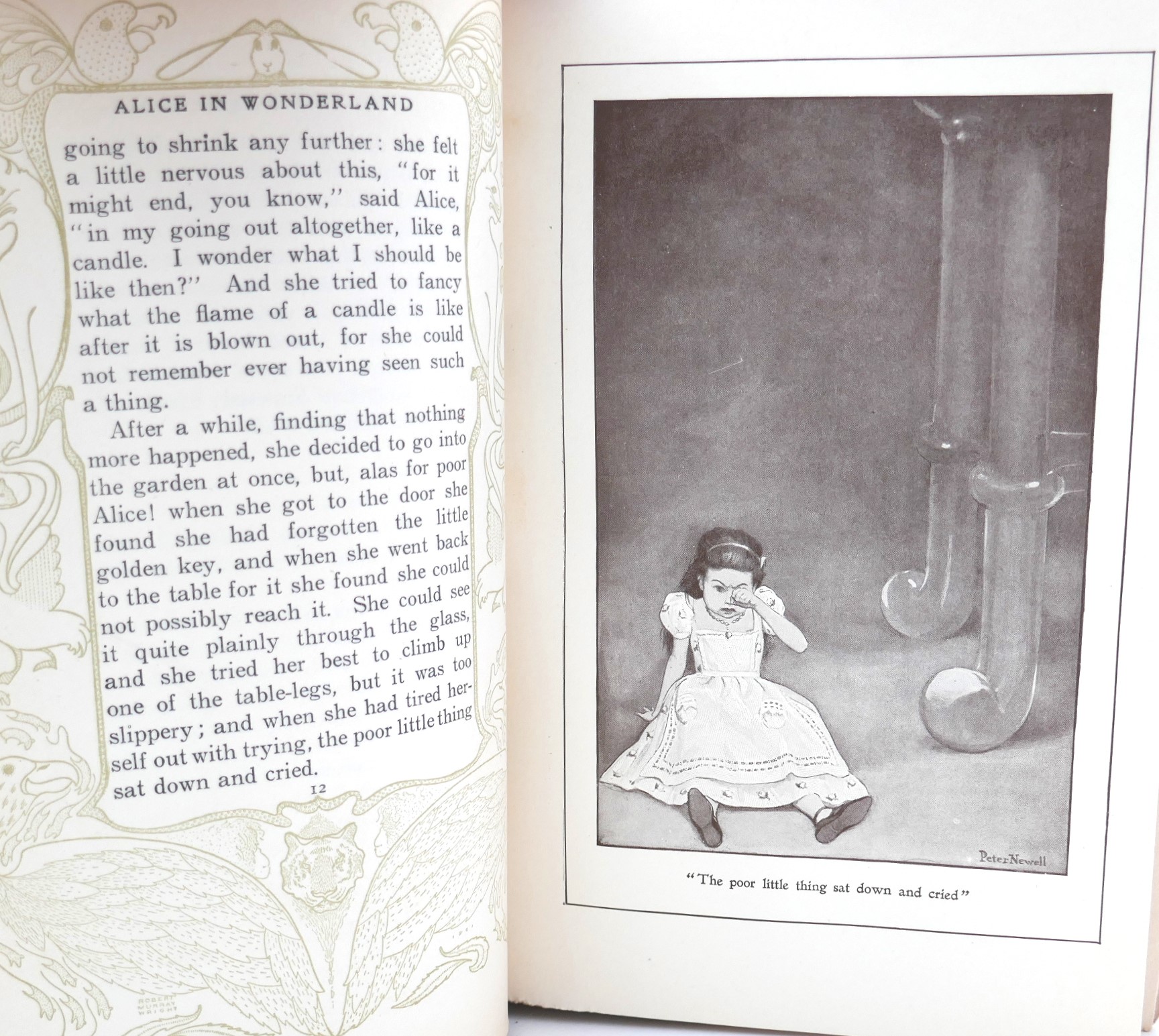 Alice's Adventures in Wonderland. Two Volumes (1902) - Image 5
