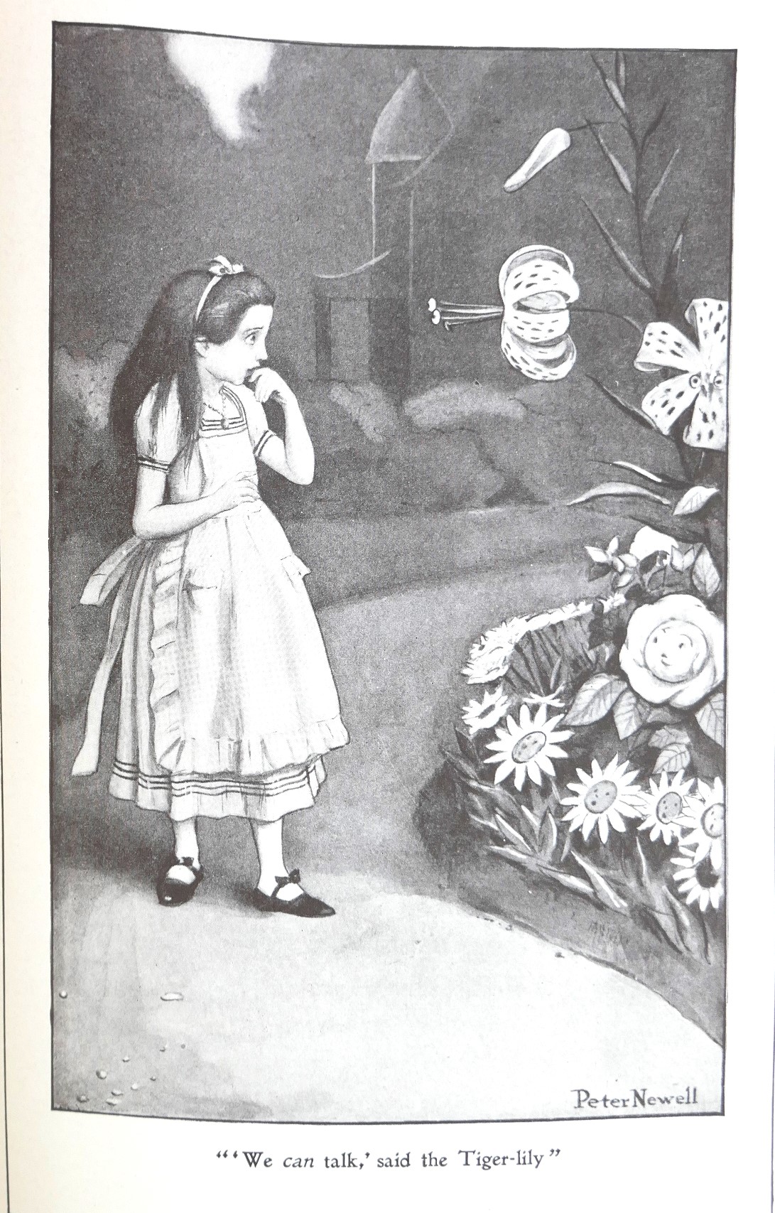 Alice's Adventures in Wonderland. Two Volumes (1902) - Image 11