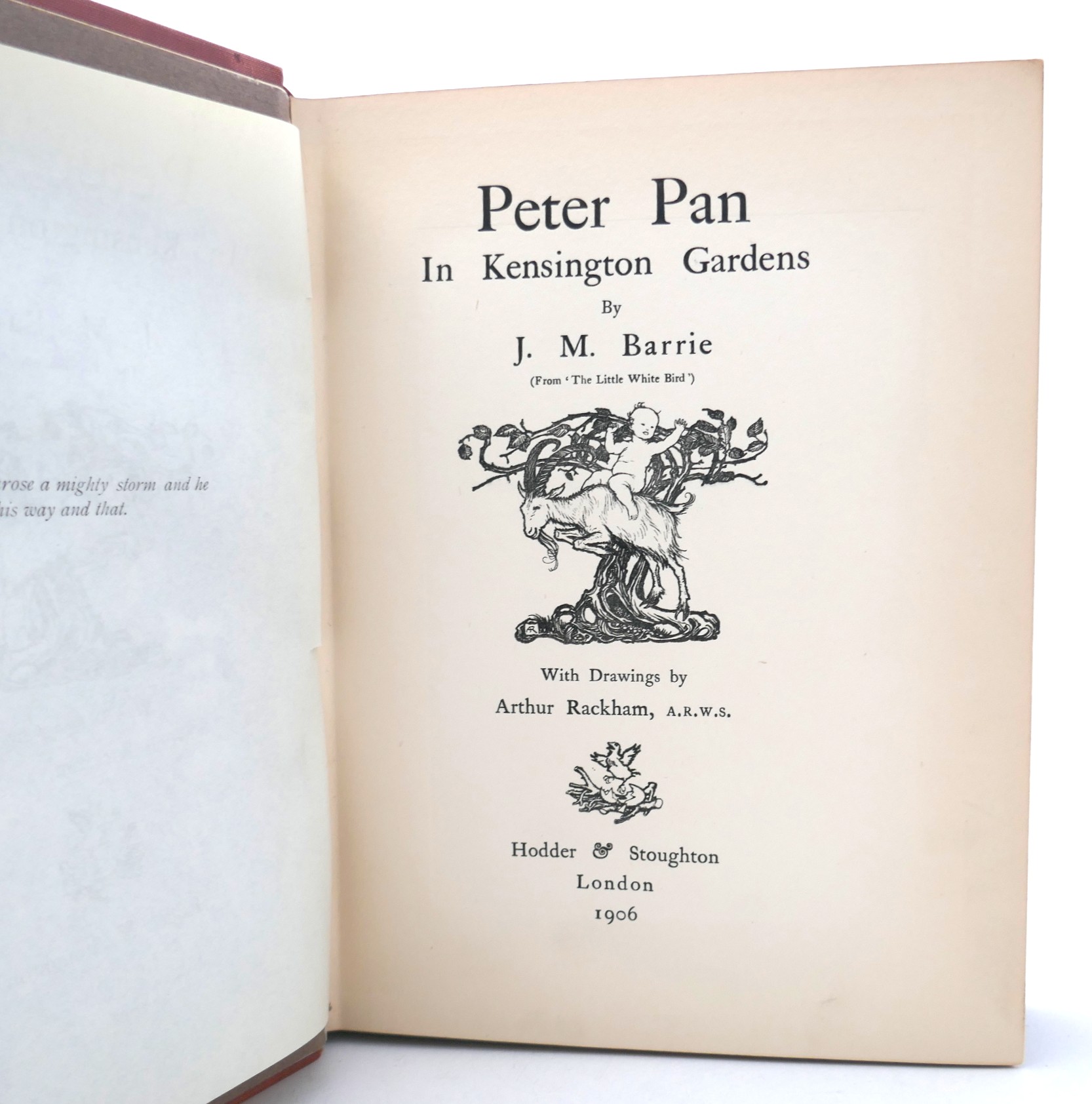 Peter Pan in Kensington Gardens. Illustrated by Arthur Rackham (1906) - Image 9