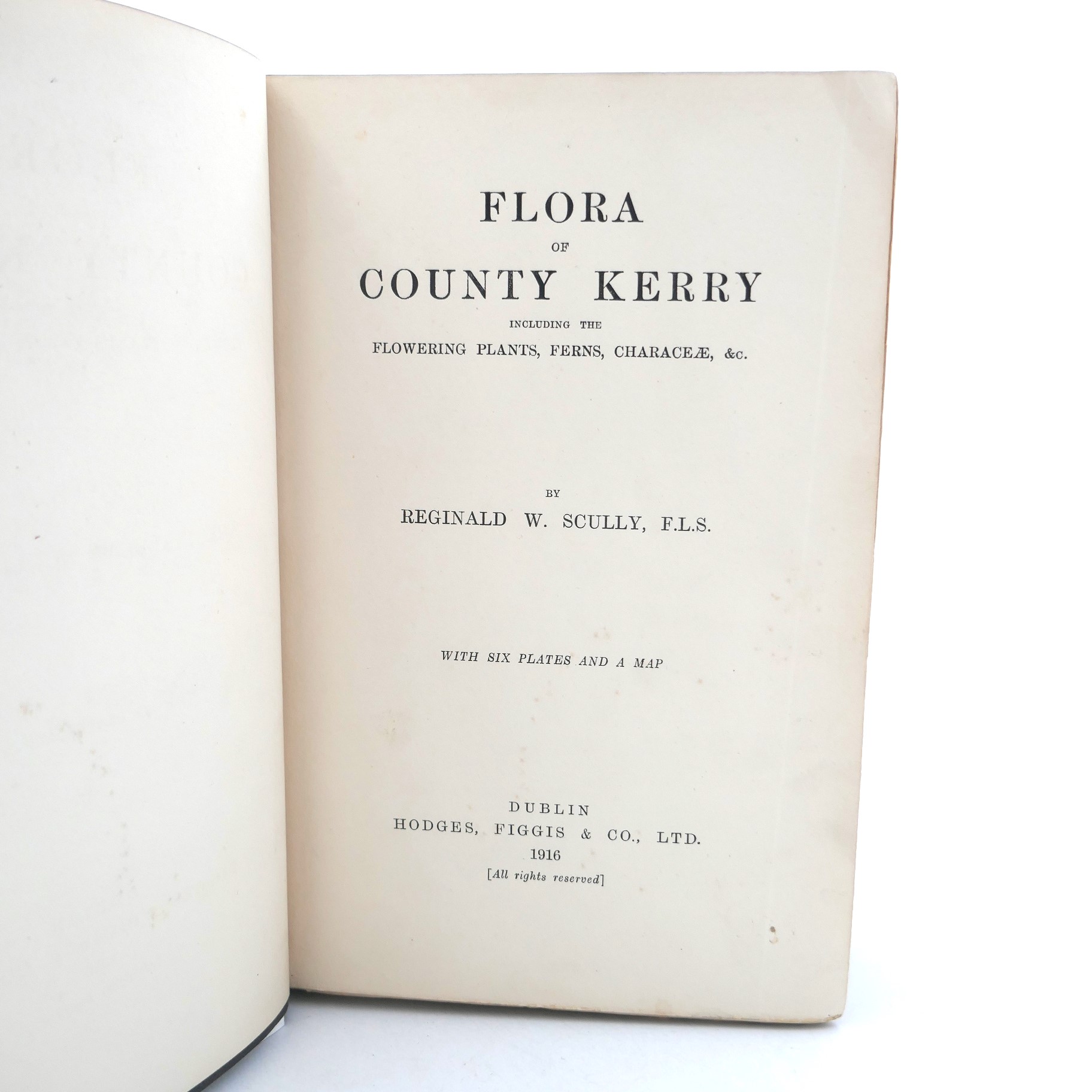 Flora of County Kerry (1916) - Image 2