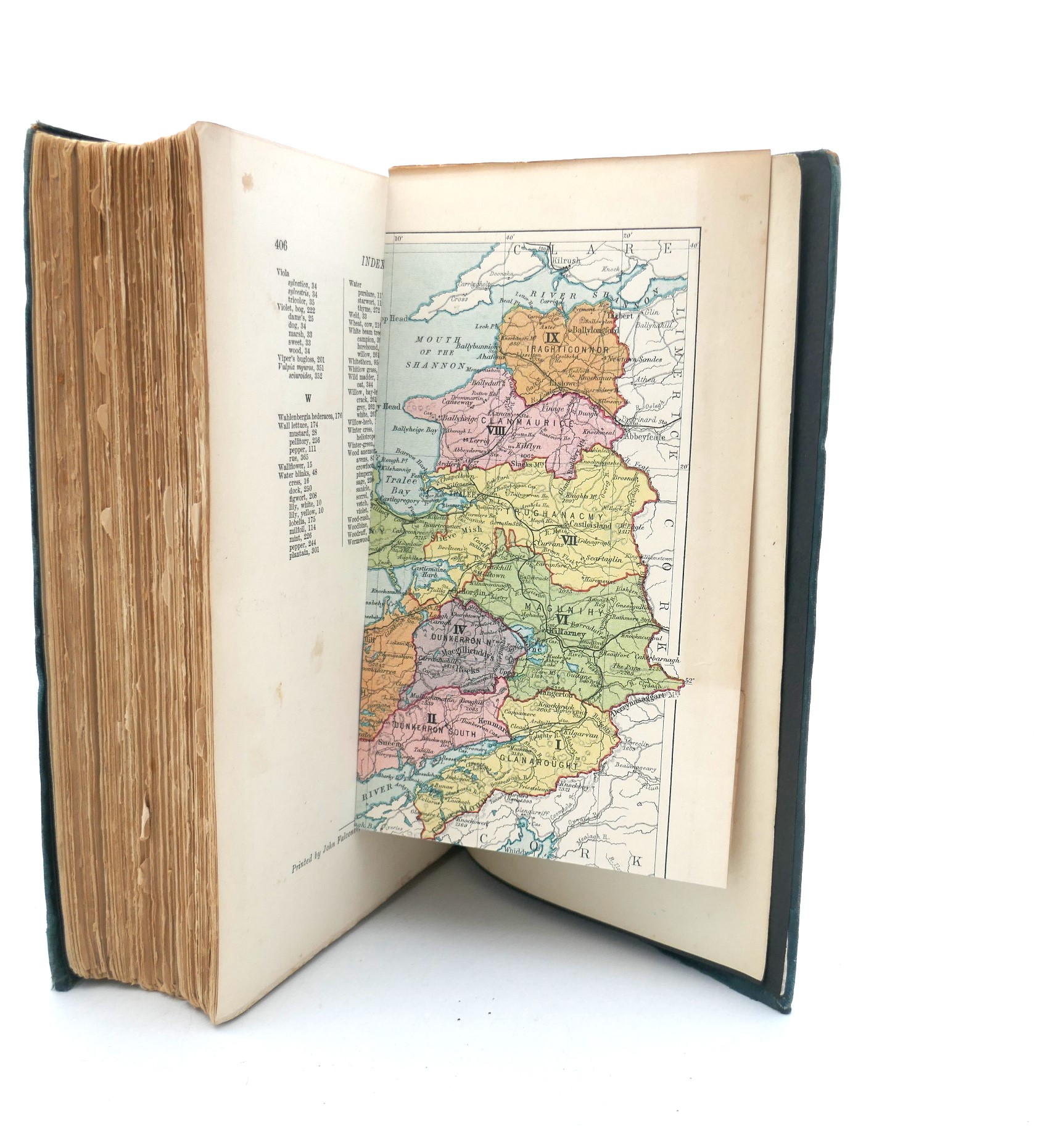 Flora of County Kerry (1916) - Image 6