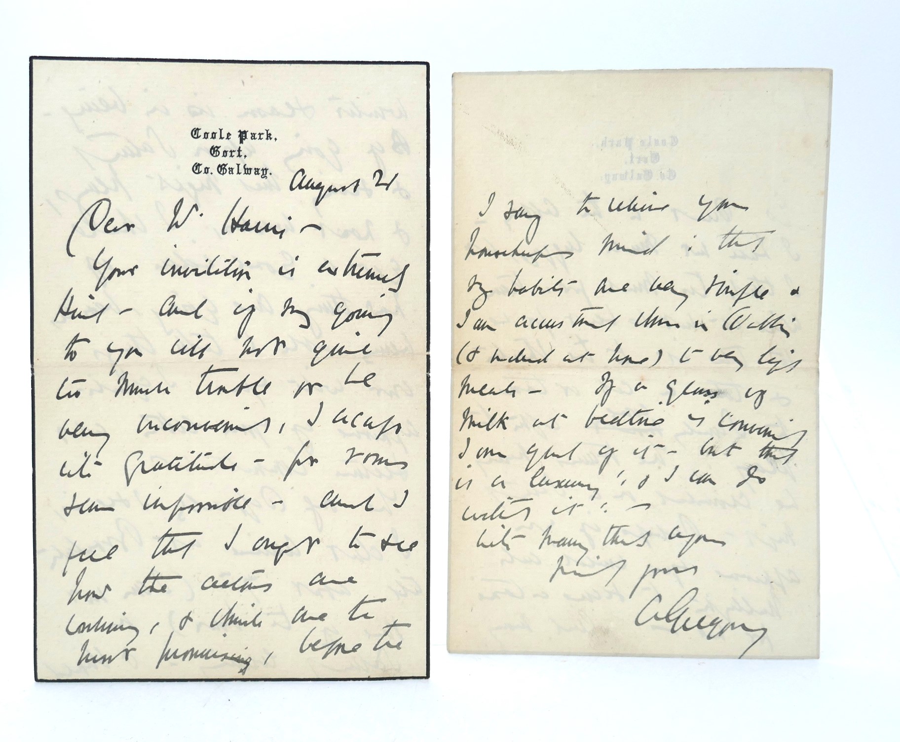 Hugh Lane's Life and Achievement. Presentation Copy (1921) - Image 6