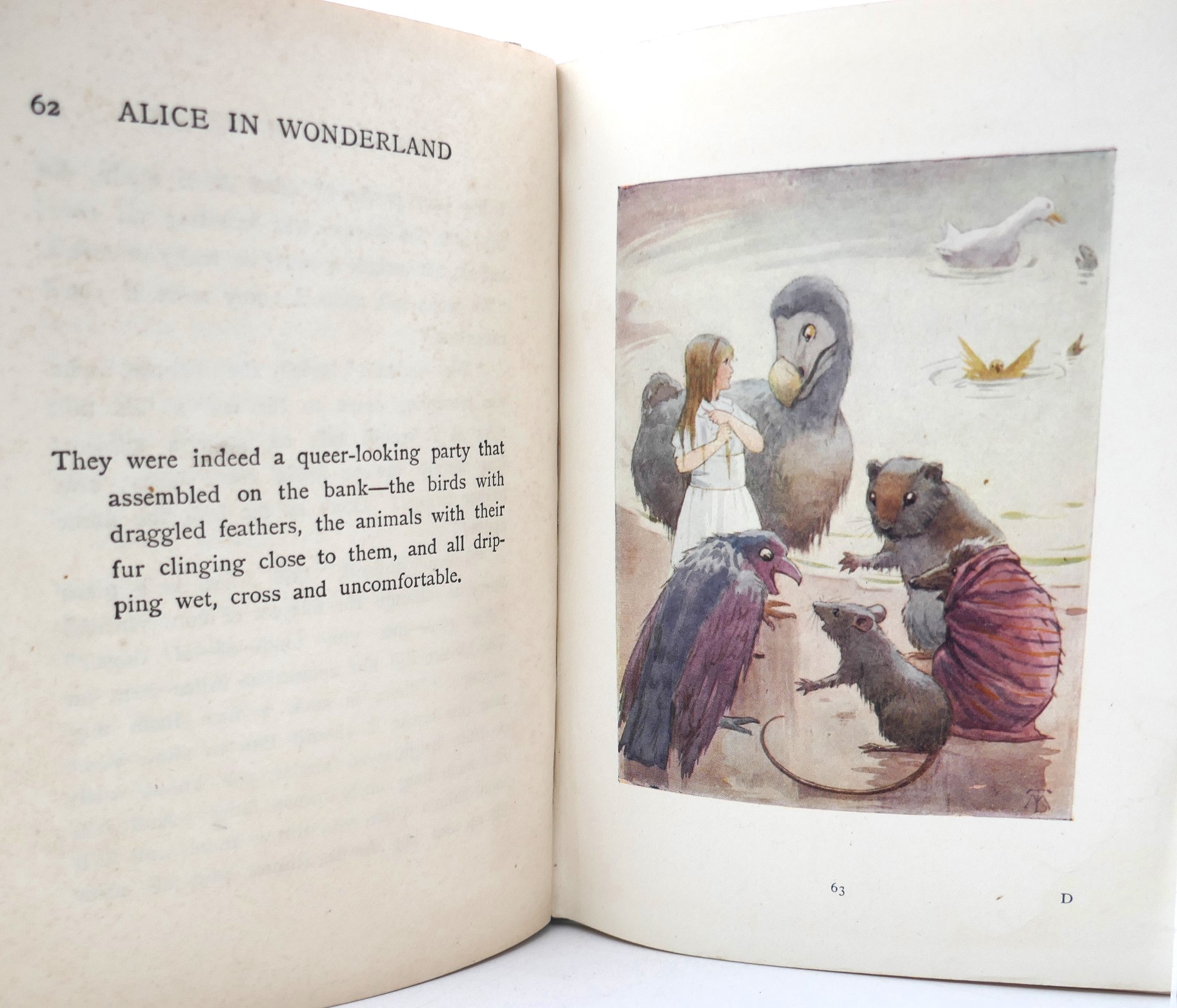 Alice's Adventures in Wonderland. Illustrated by Margaret W Tarrant (1920) - Image 5