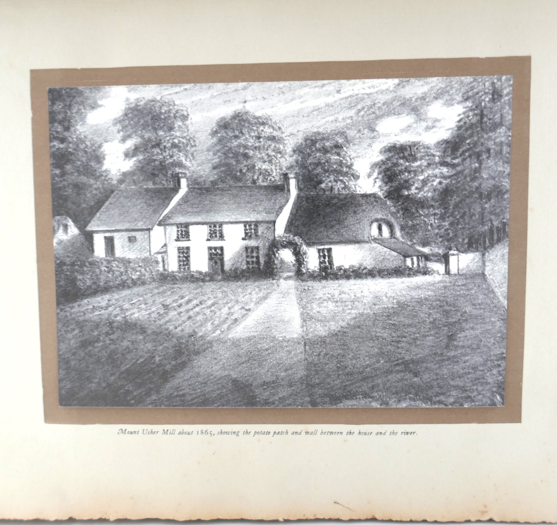 Origin and Development of Mount Usher Gardens (1868-1928) - Image 2