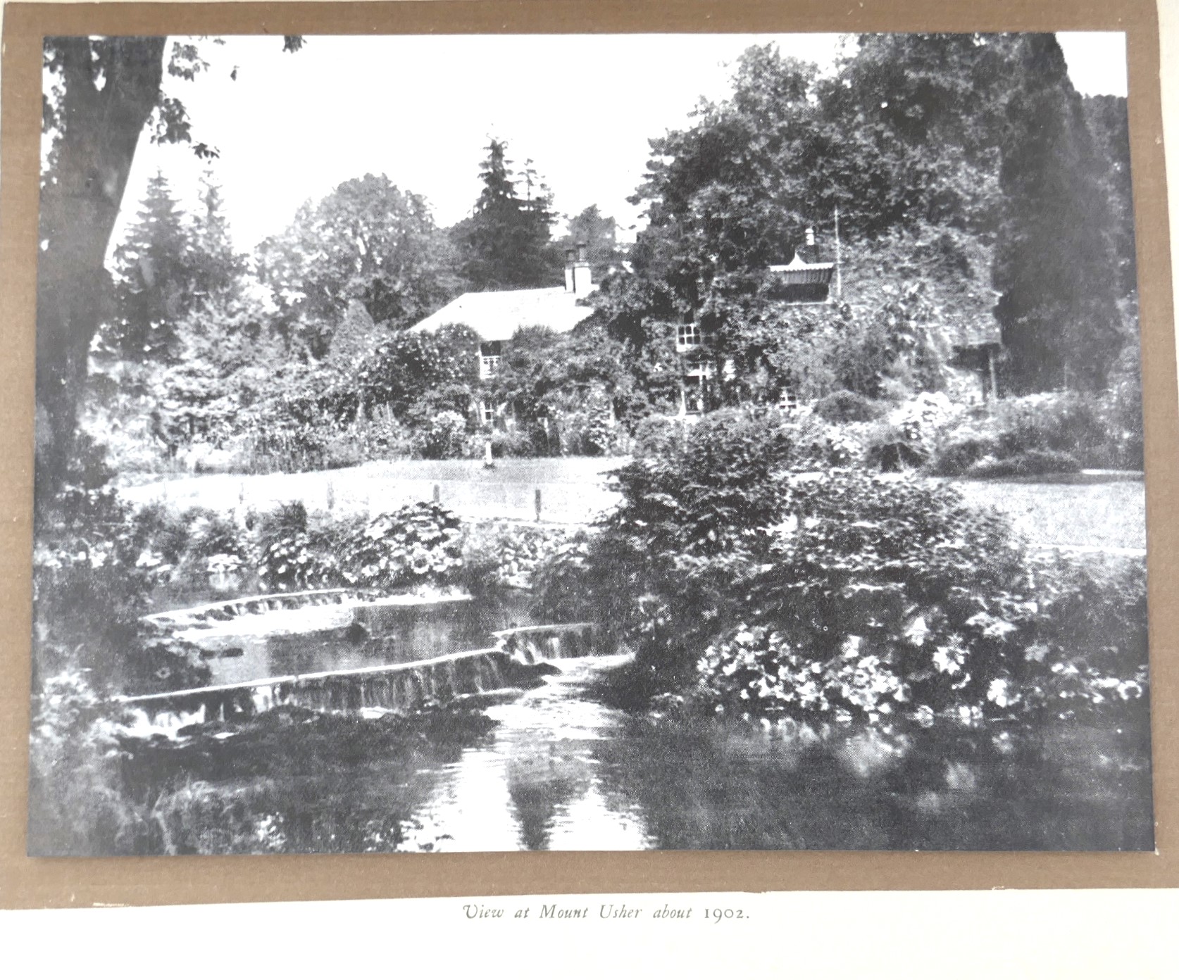 Origin and Development of Mount Usher Gardens (1868-1928) - Image 6