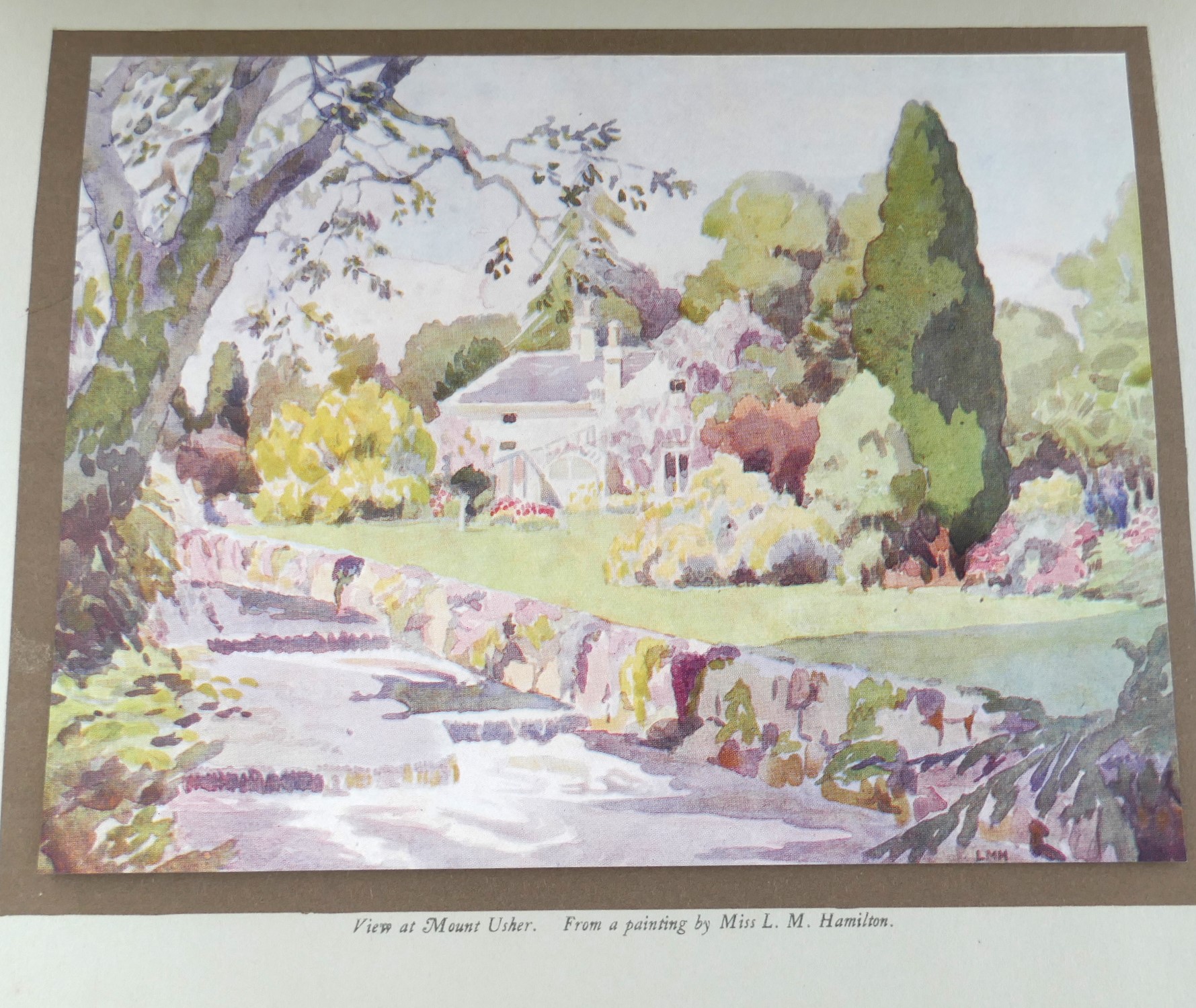 Origin and Development of Mount Usher Gardens (1868-1928) - Image 7