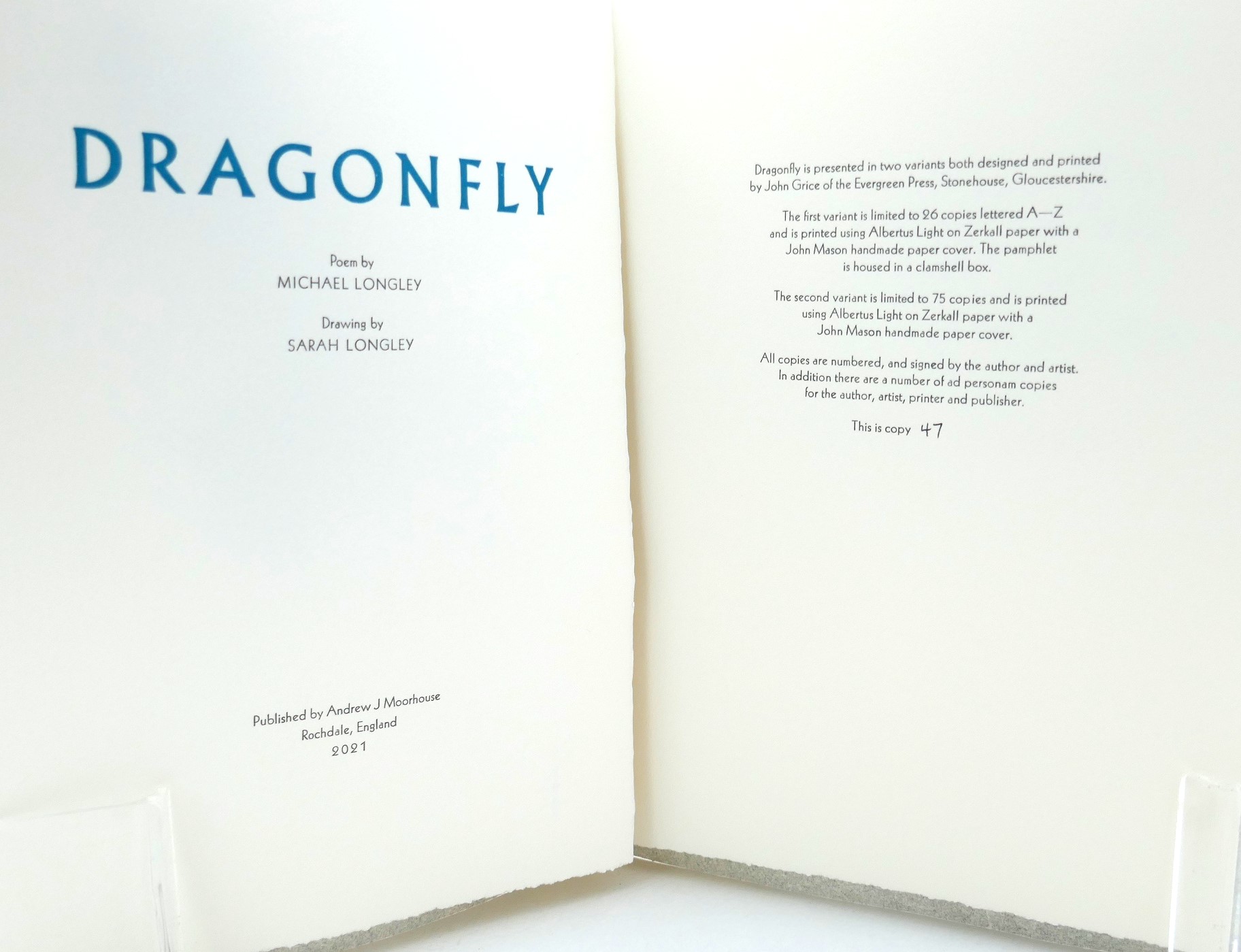 Dragonfly. Drawing by Sarah Longley. Limited Edition (2021) - Image 2