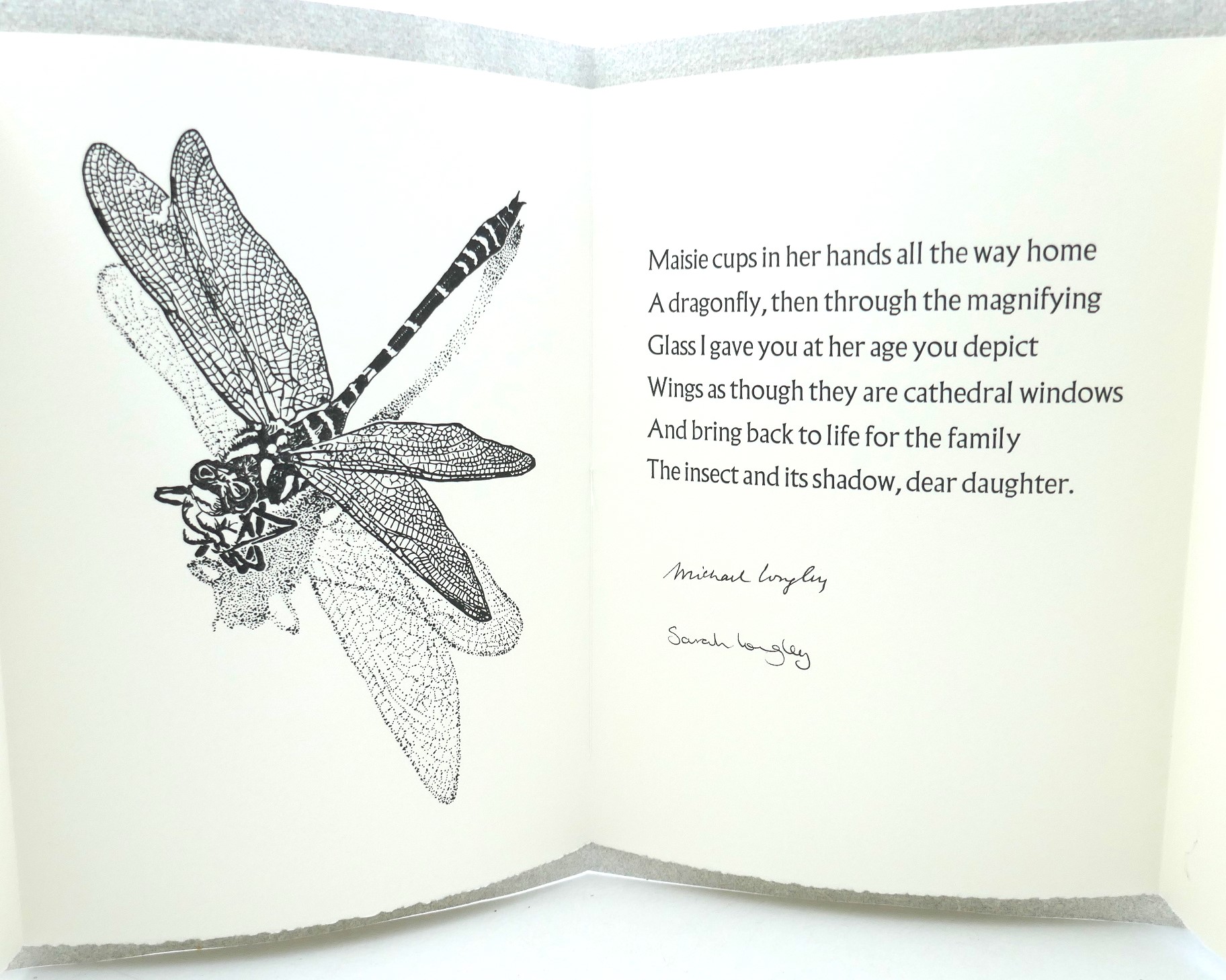 Dragonfly. Drawing by Sarah Longley. Limited Edition (2021) - Image 4