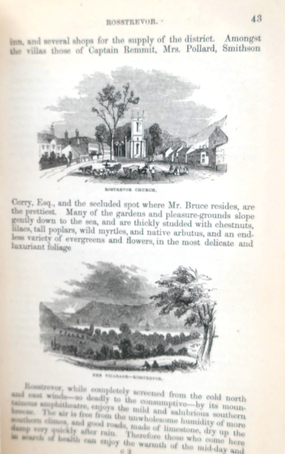 A Picturesque Handbook to Carlingford Bay (1846) - Image 3