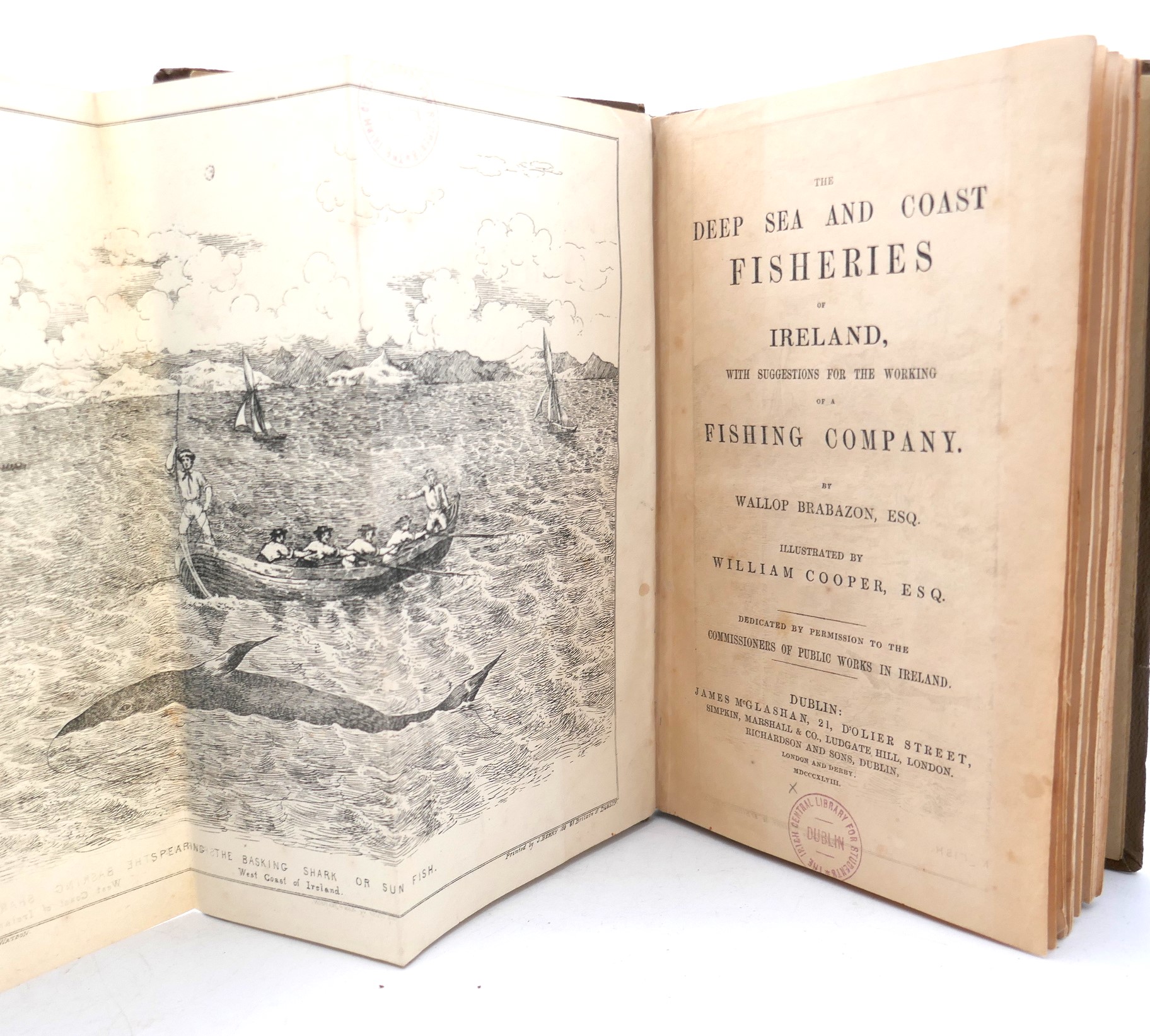 The Deep Sea and Coast Fisheries of Ireland (1848) - Image 2